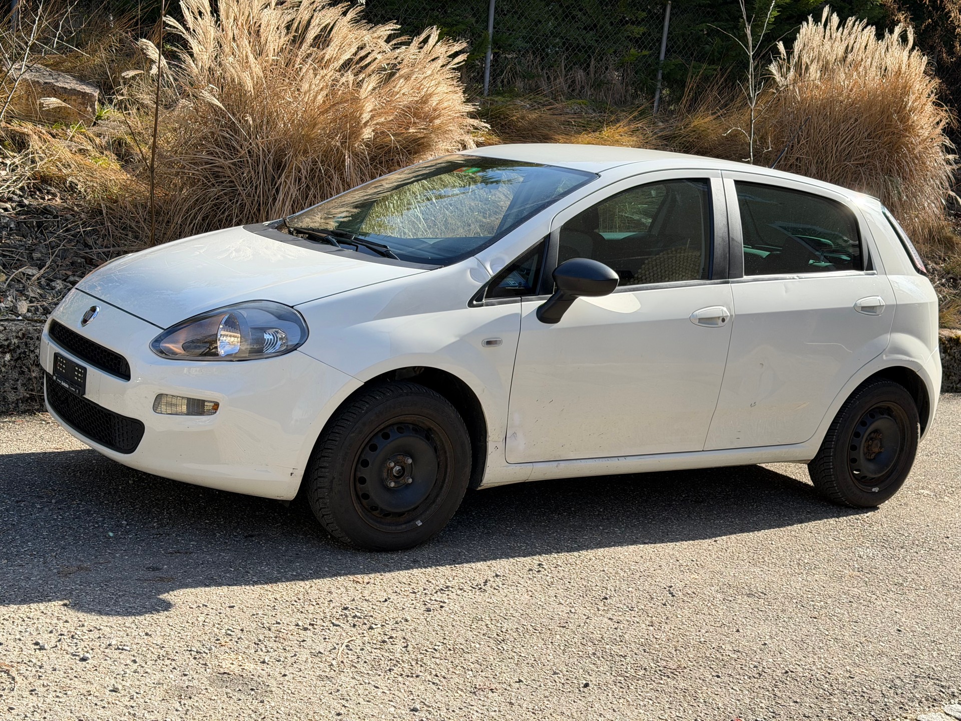 FIAT Punto 1.4 Easy Dualogic-image-6