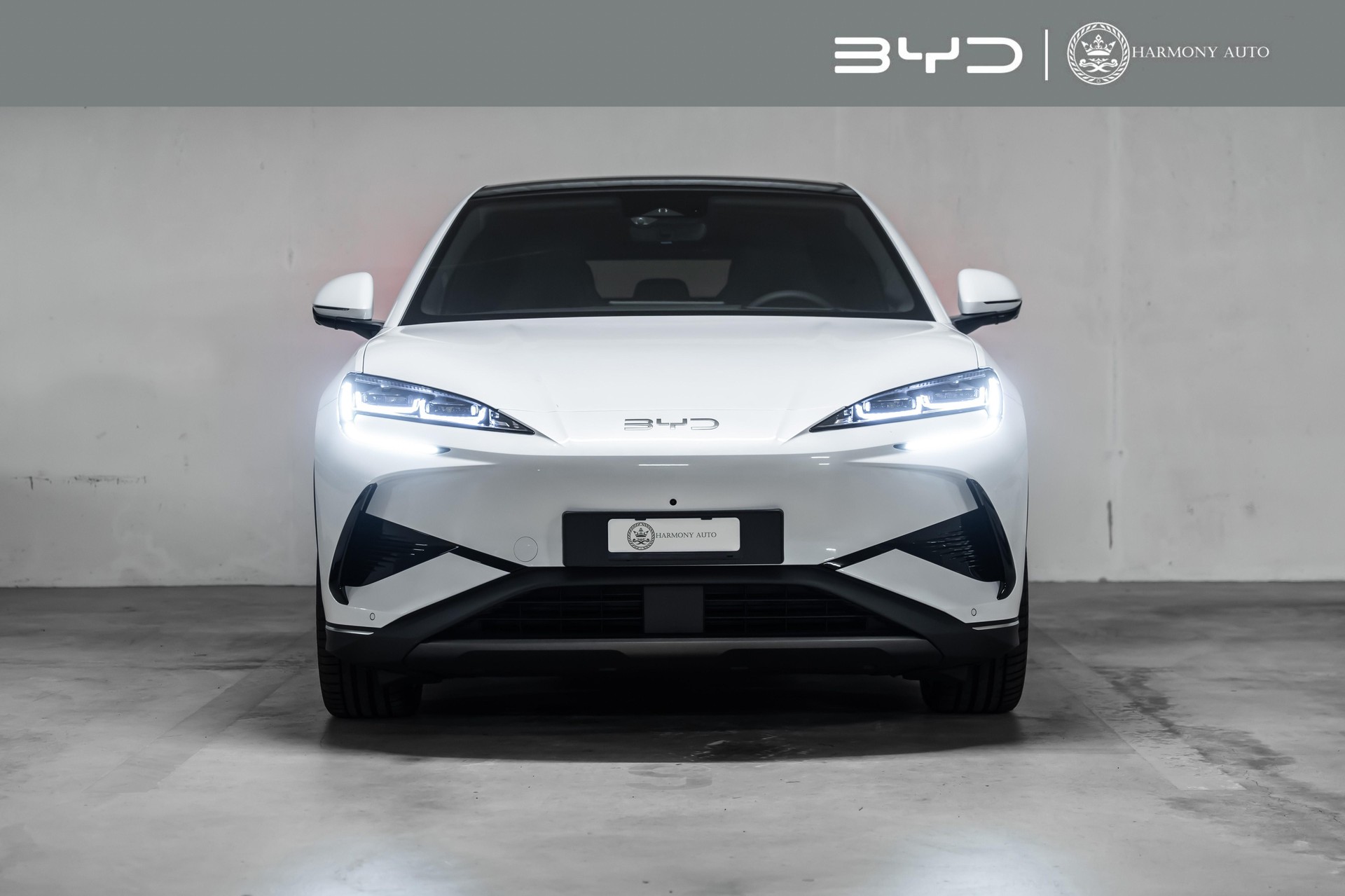 BYD Sealion 7 Excellence AWD - 530 PS-image-1