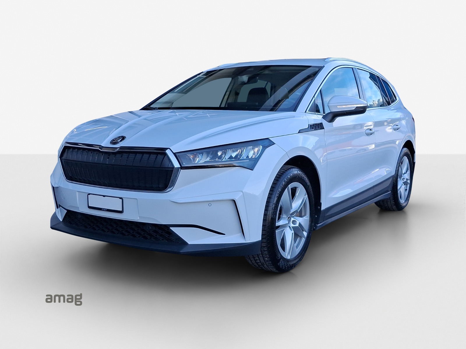 SKODA Enyaq iV 80-image-0
