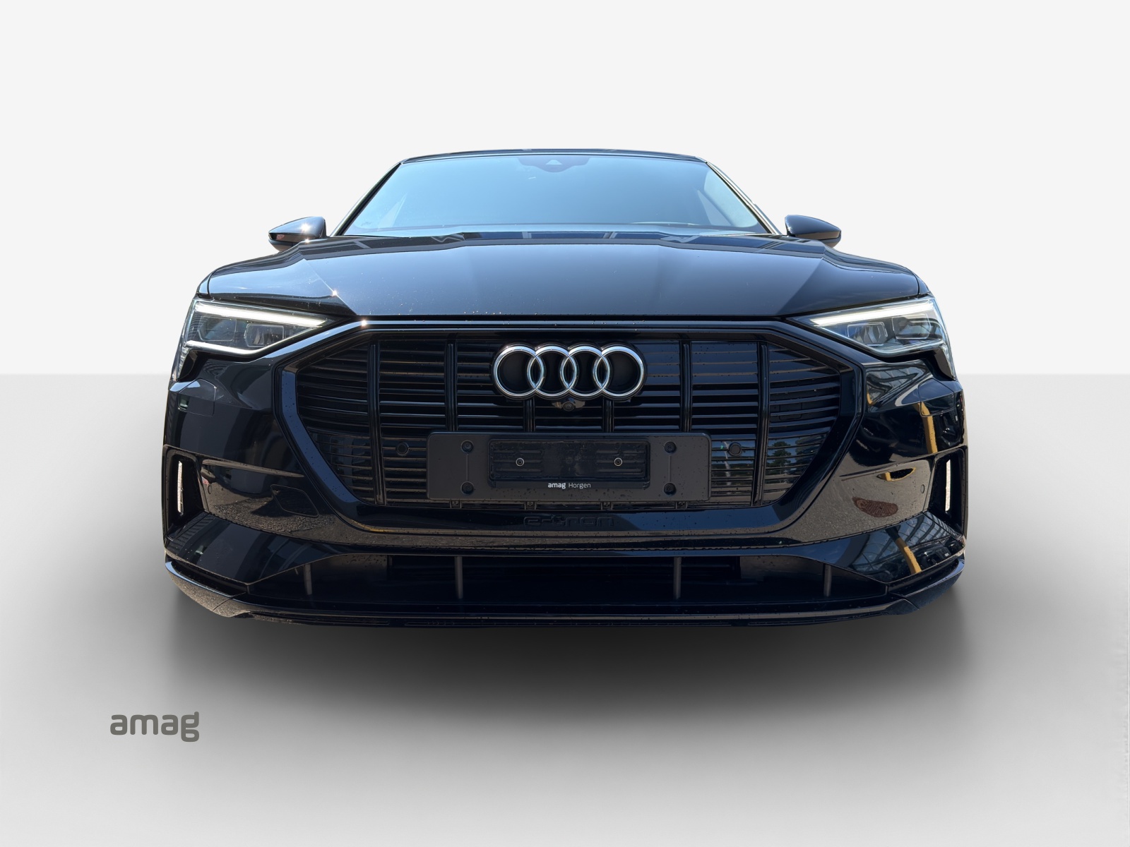 AUDI e-tron 50 Advanced Attraction quattro-image-6