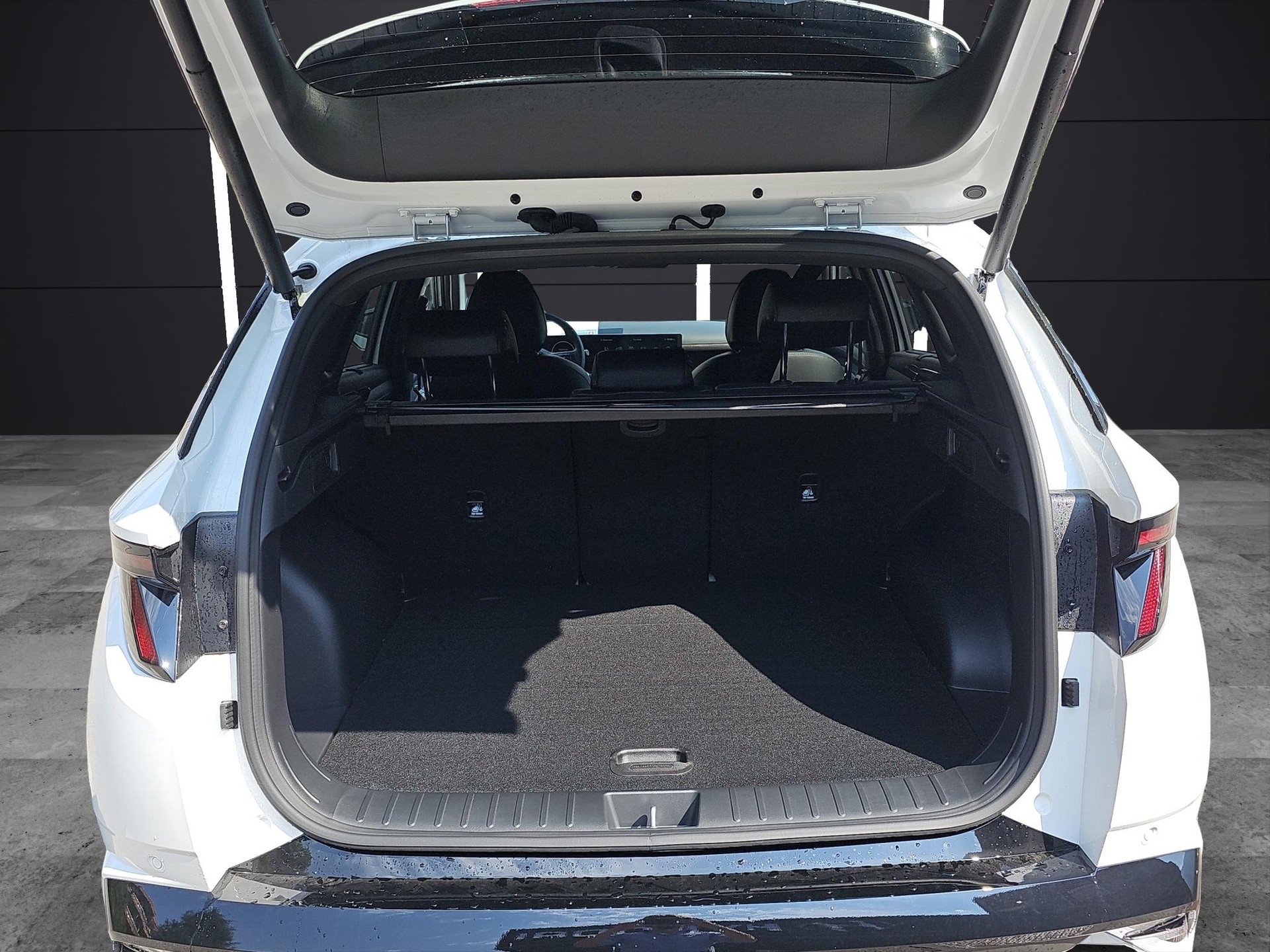 HYUNDAI Tucson 1.6 T-GDi HEV N-Line 4WD-image-12