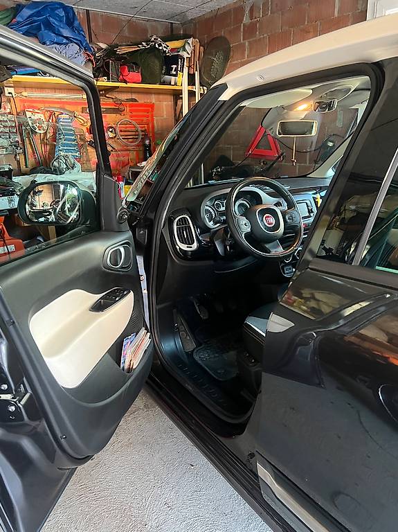 FIAT-image-0