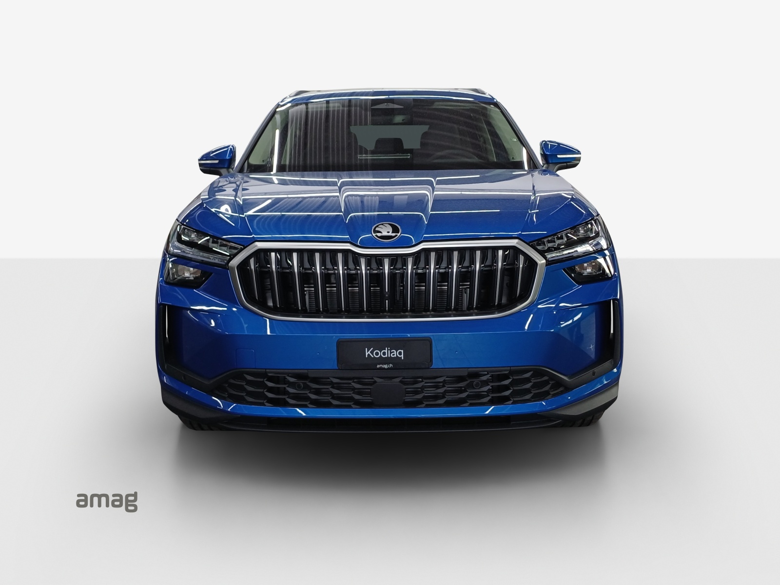 SKODA Kodiaq 2.0 TSI Selection 4x4-image-6