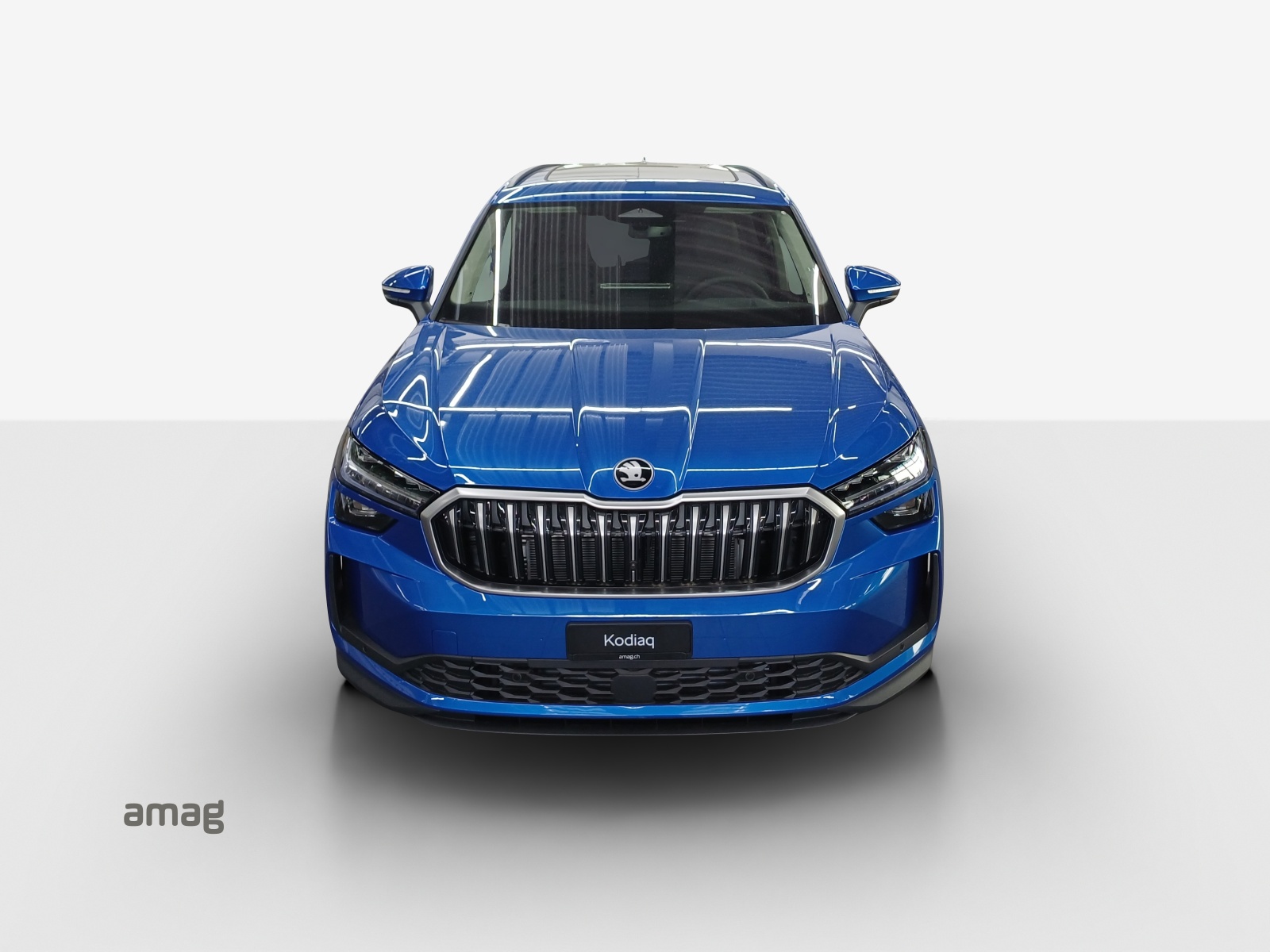 SKODA Kodiaq 2.0 TSI Selection 4x4-image-13