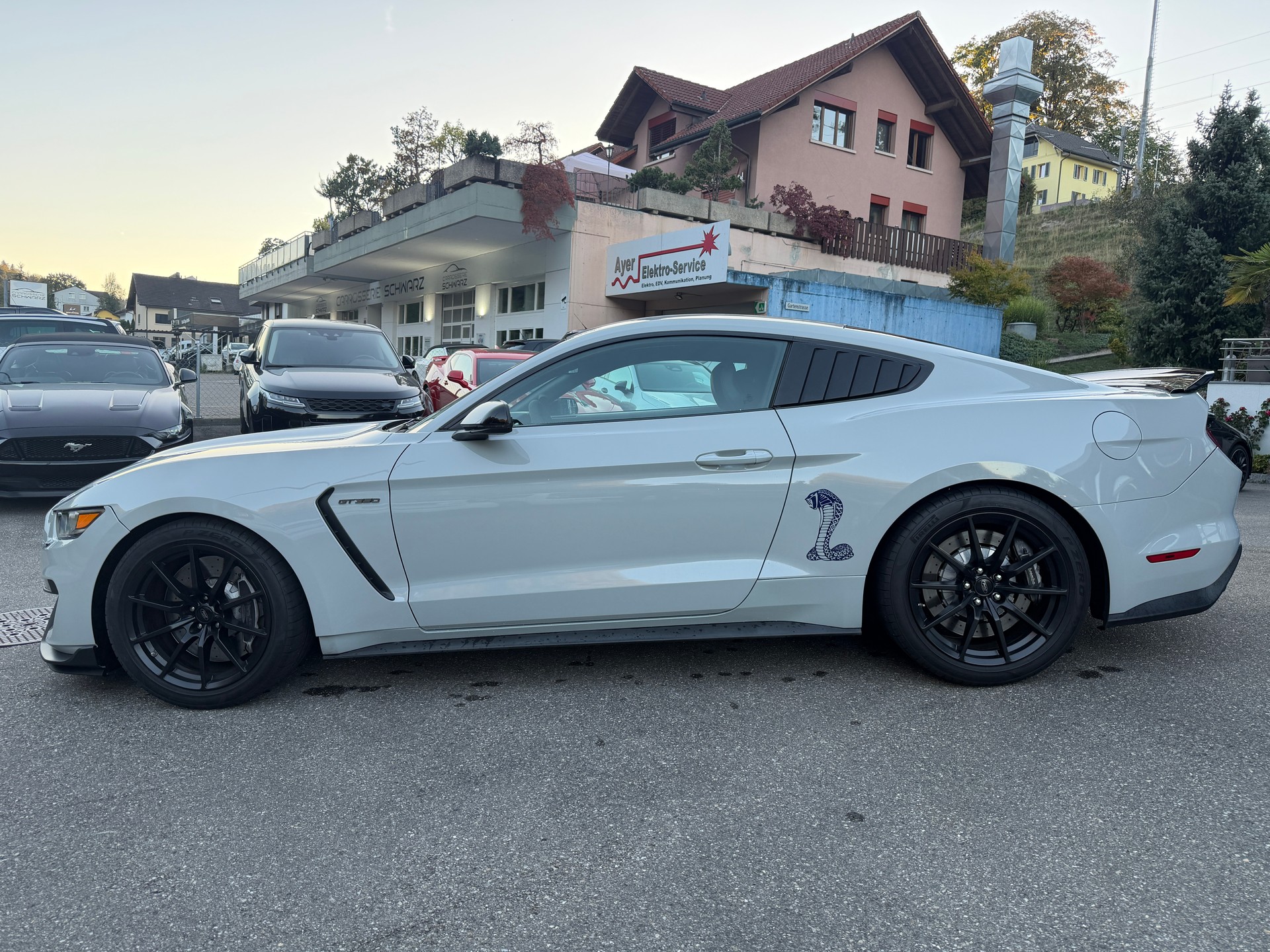 FORD Shelby GT 350-image-5