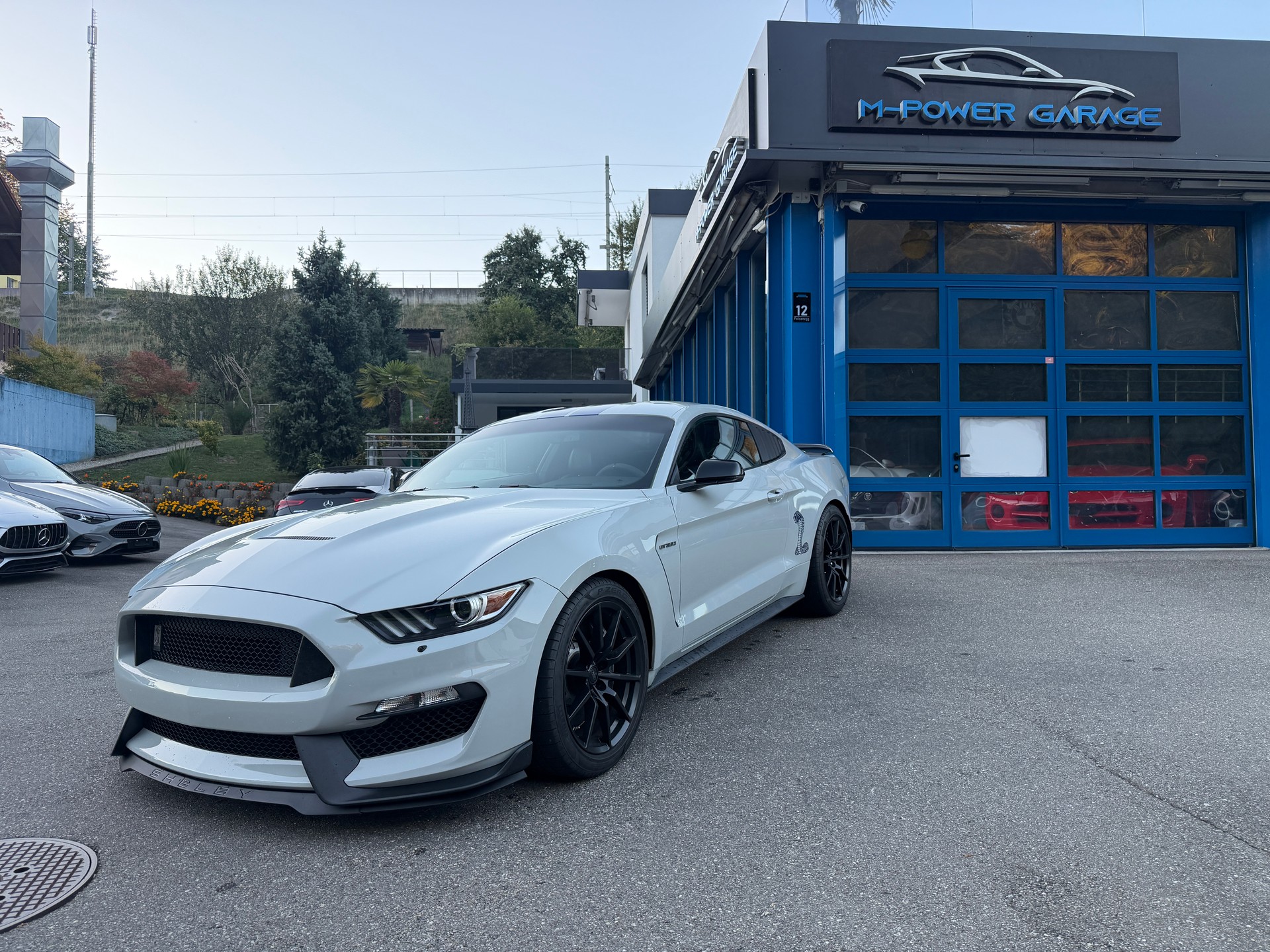FORD Shelby GT 350-image-0