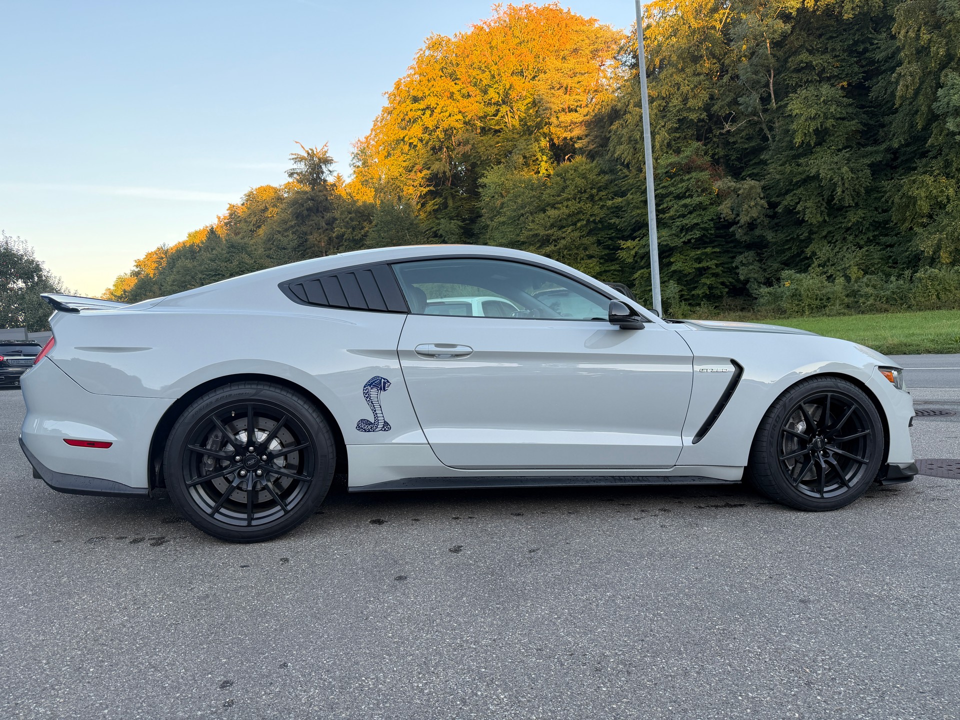 FORD Shelby GT 350-image-2