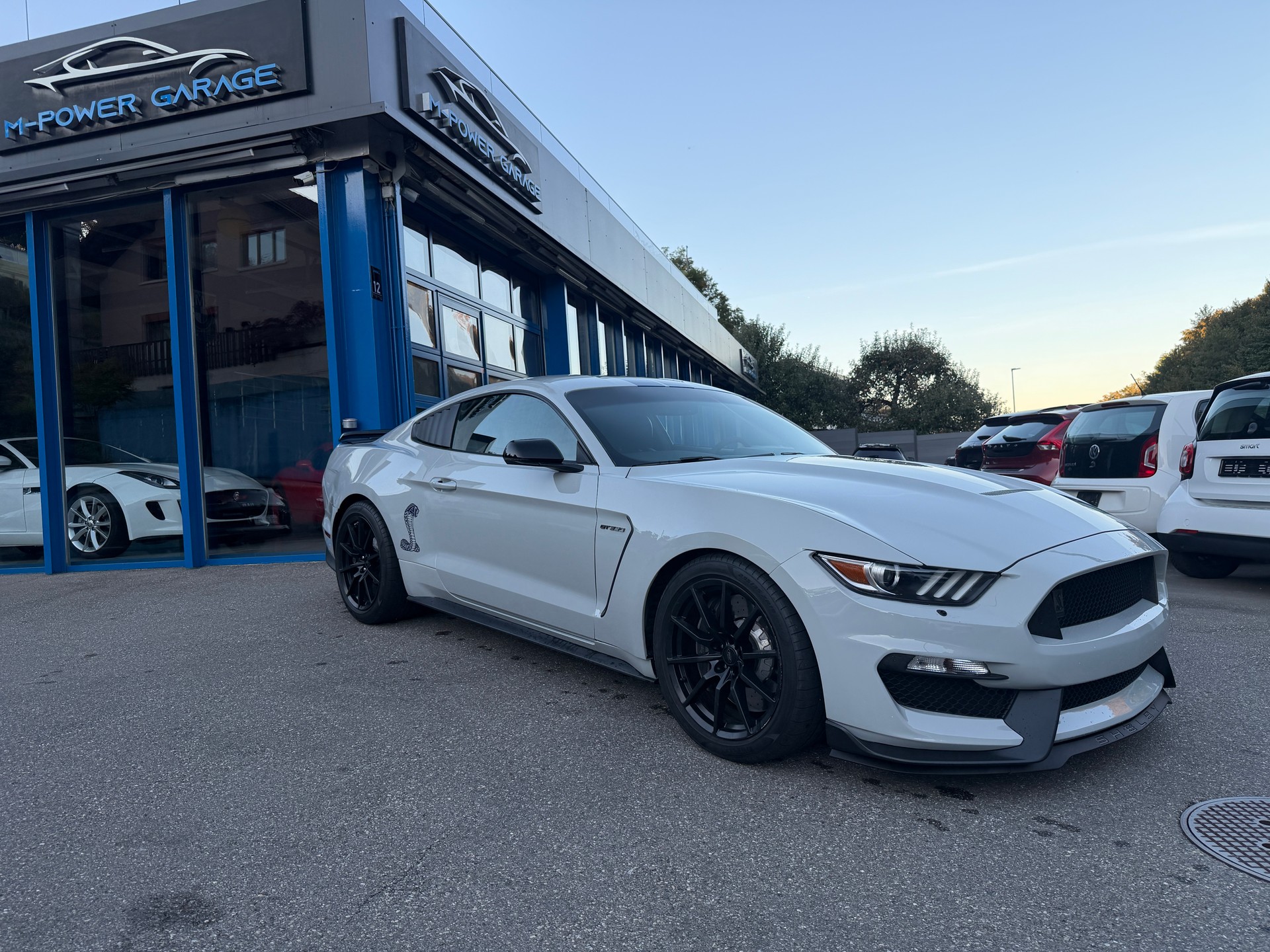 FORD Shelby GT 350-image-1