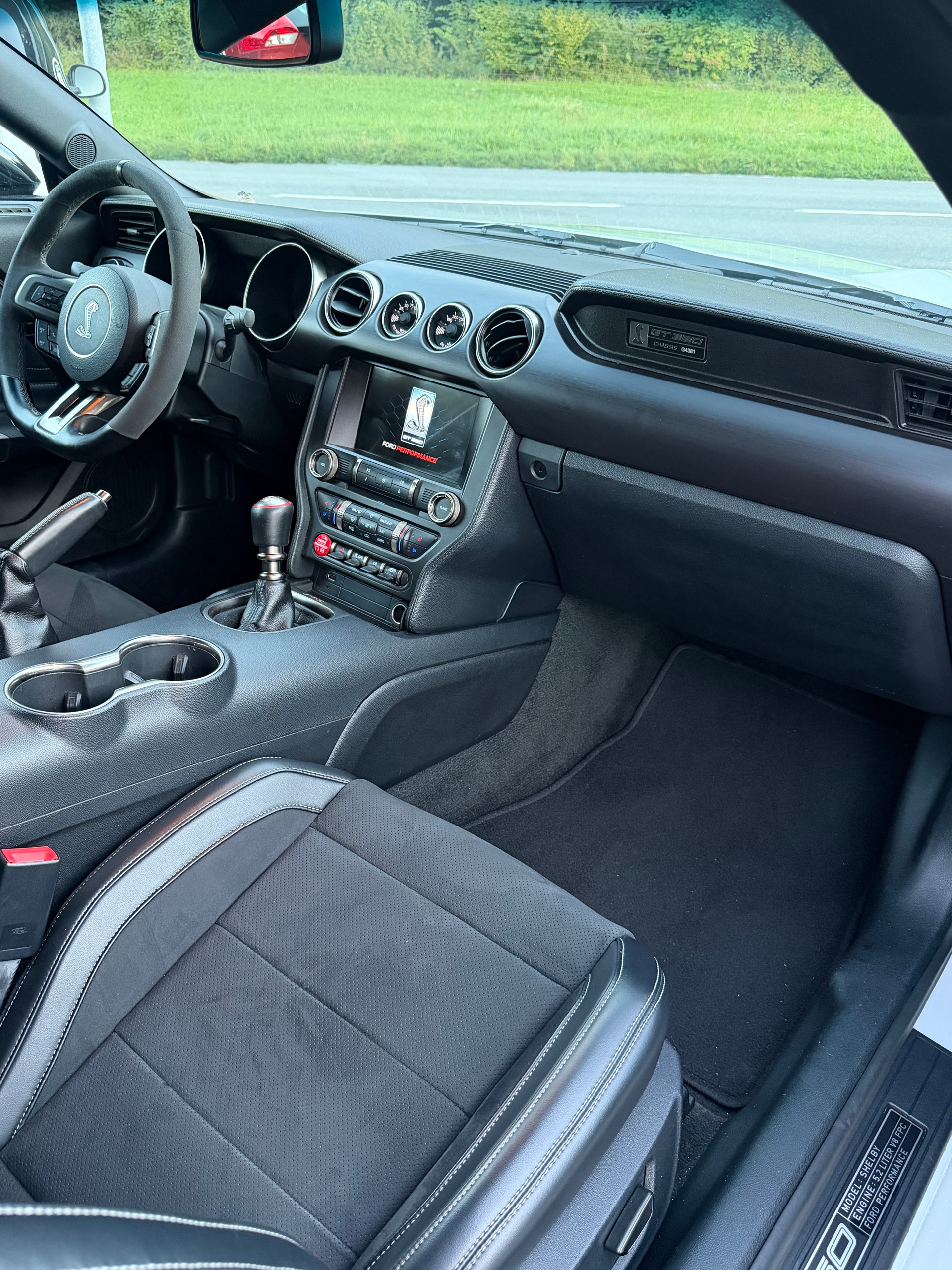 FORD Shelby GT 350-image-8