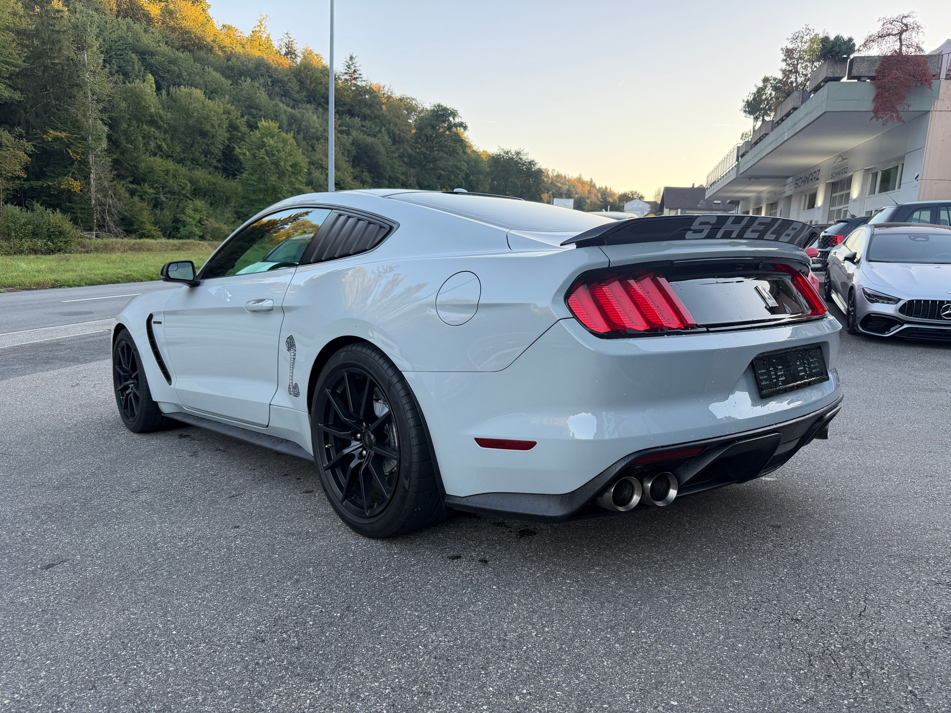 FORD Shelby GT 350-image-4