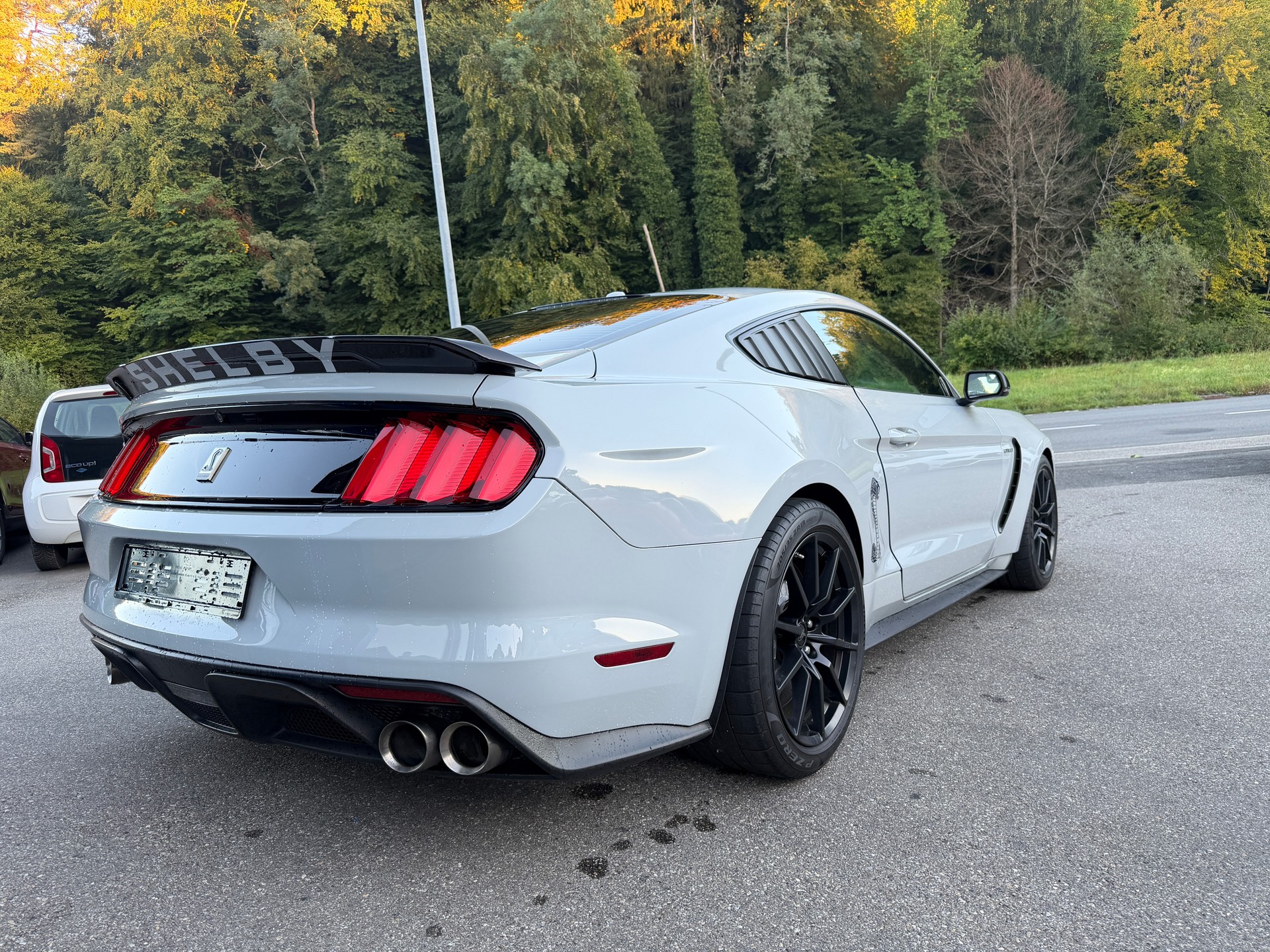 FORD Shelby GT 350-image-3