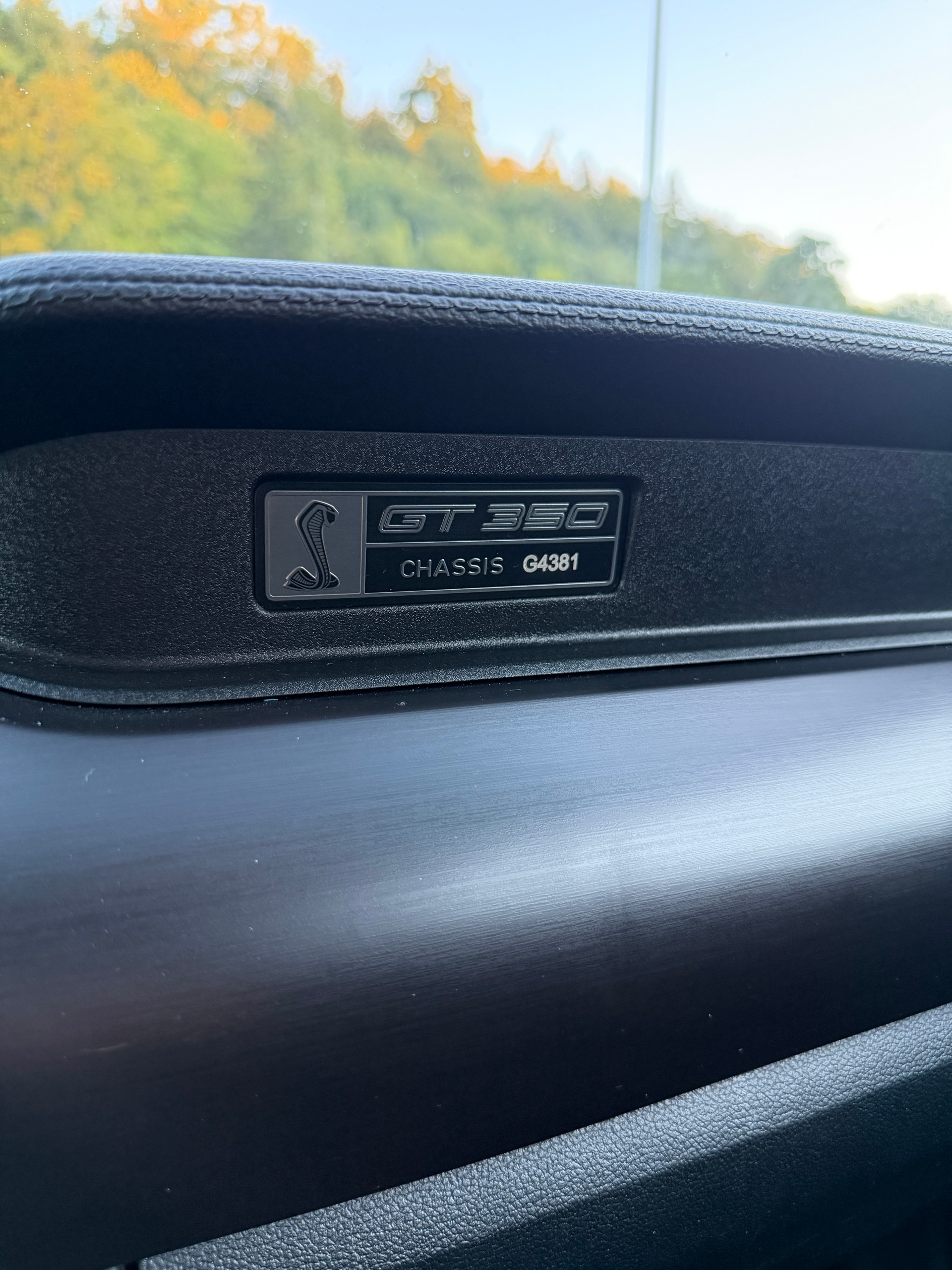 FORD Shelby GT 350-image-15