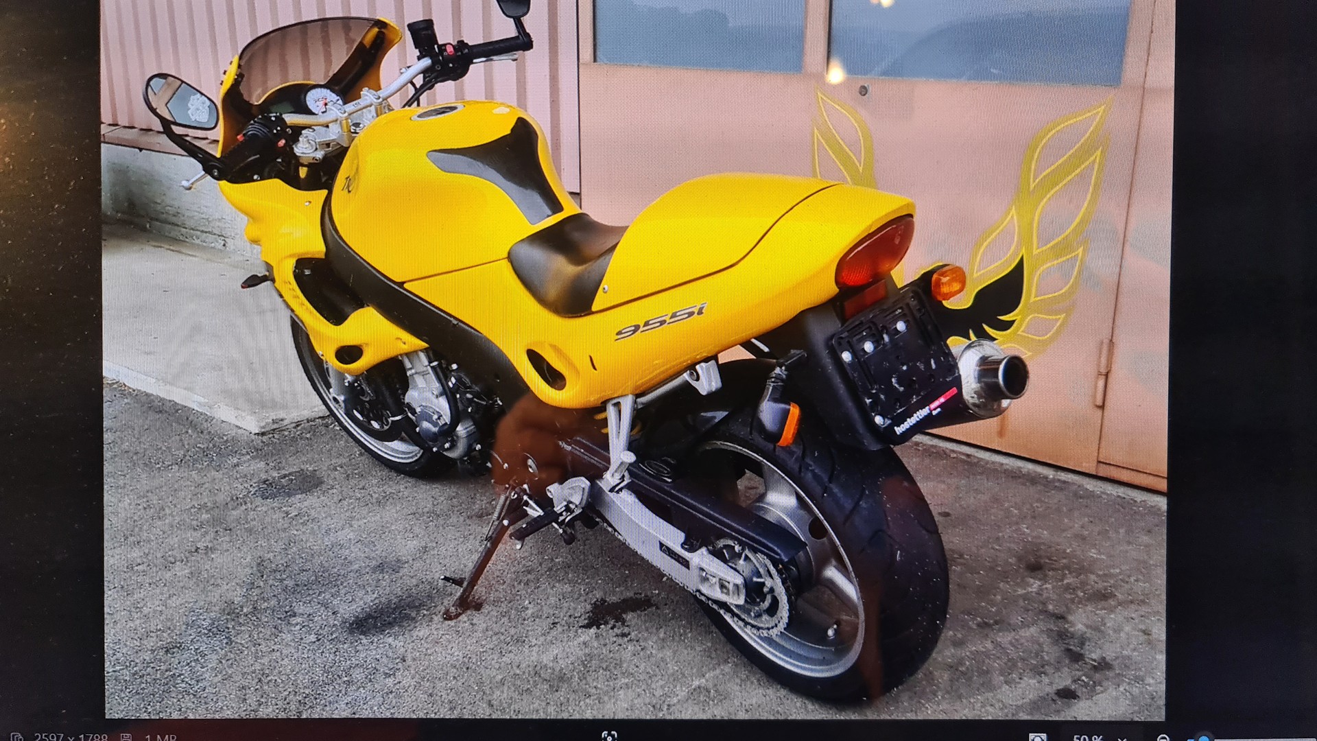 TRIUMPH Sprint RS 955i-image-2