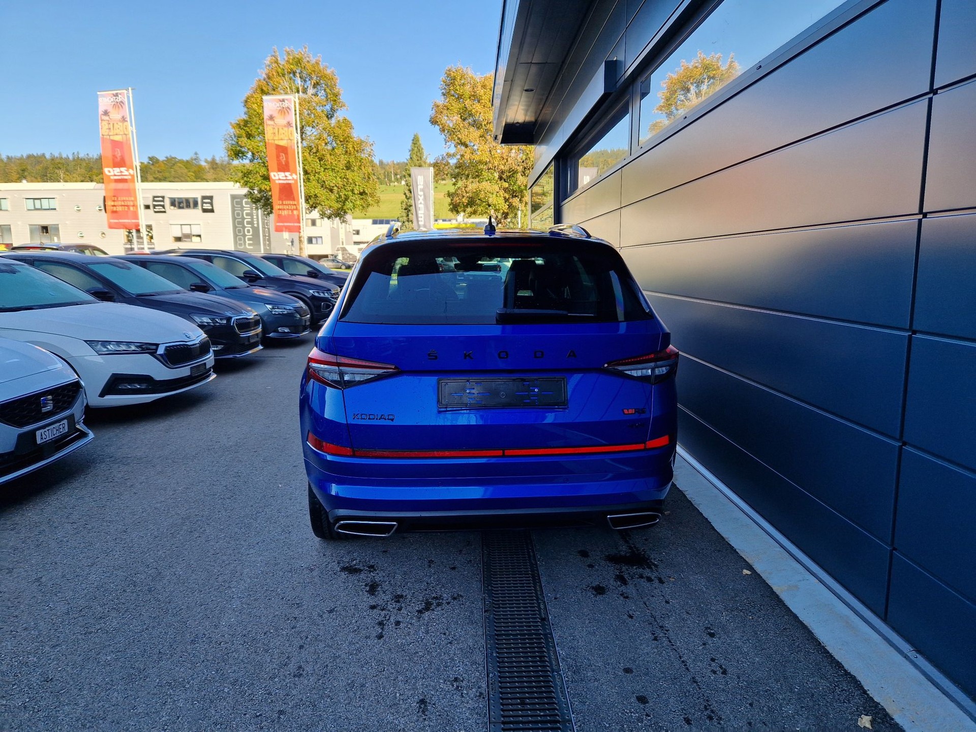 SKODA Kodiaq 2.0 TSI 4x4 RS-image-3