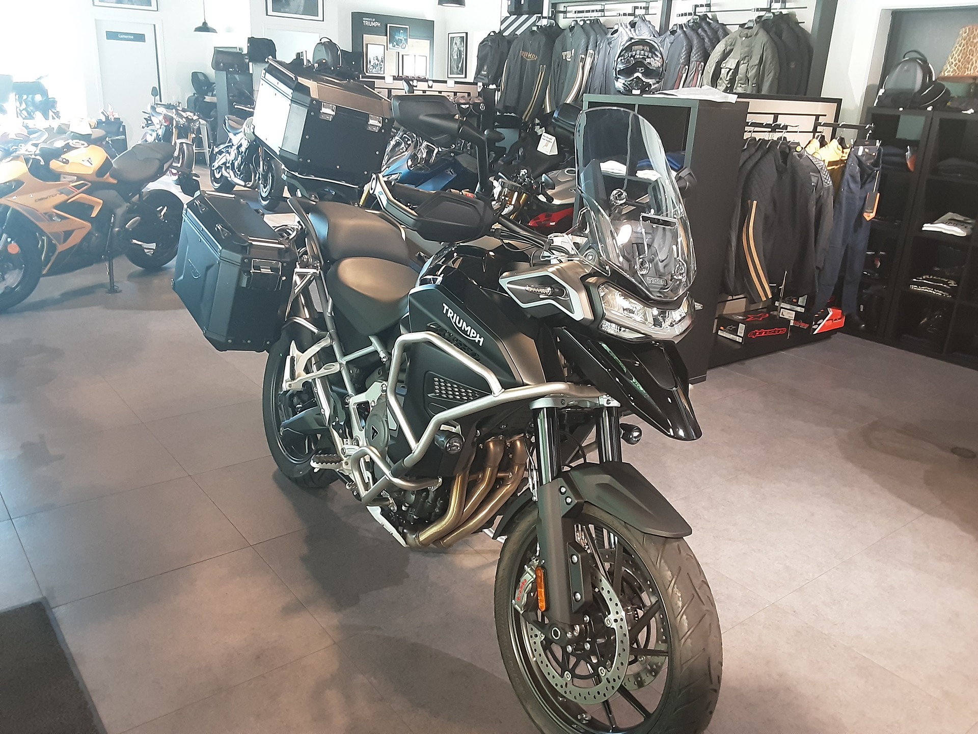 TRIUMPH Explorer GT-image-2