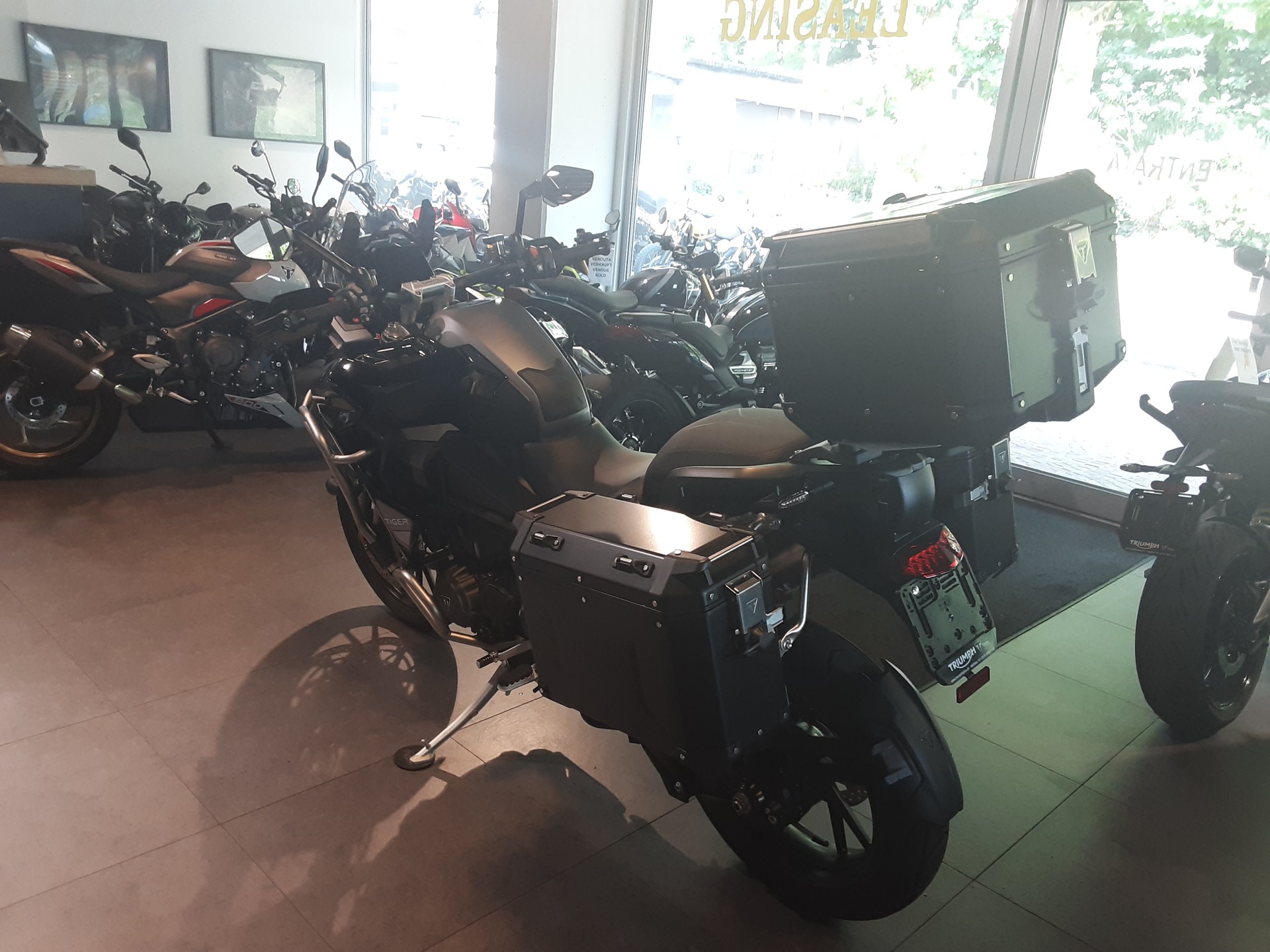 TRIUMPH Explorer GT-image-4