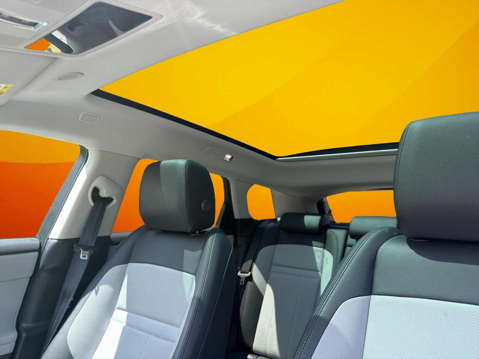 LAND ROVER Range Rover Evoque P 270e Dynamic HSE AT9-image-13