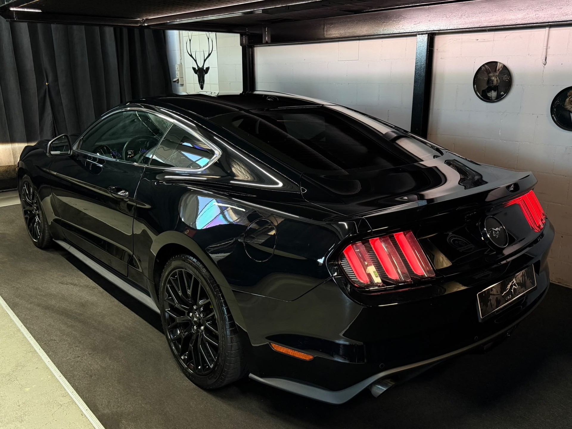 FORD Mustang Fastback 2.3 Automat / All Black / CH- Auto-image-4