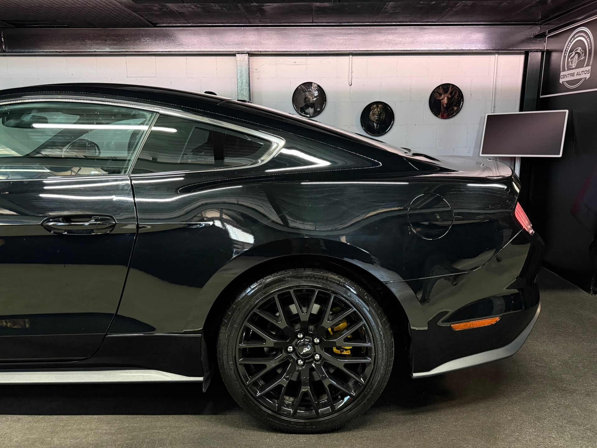 FORD Mustang Fastback 2.3 Automat / All Black / CH- Auto-image-9