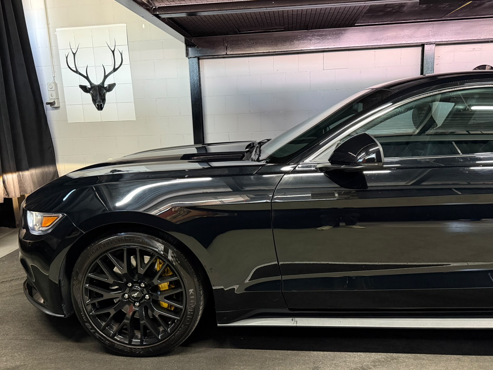 FORD Mustang Fastback 2.3 Automat / All Black / CH- Auto-image-8