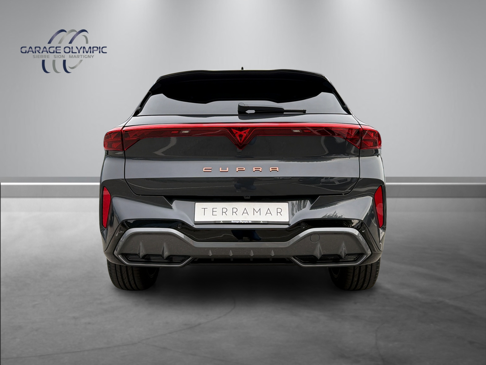 CUPRA Terramar 2.0 TSI Prime Edition DSG 4Drive-image-4
