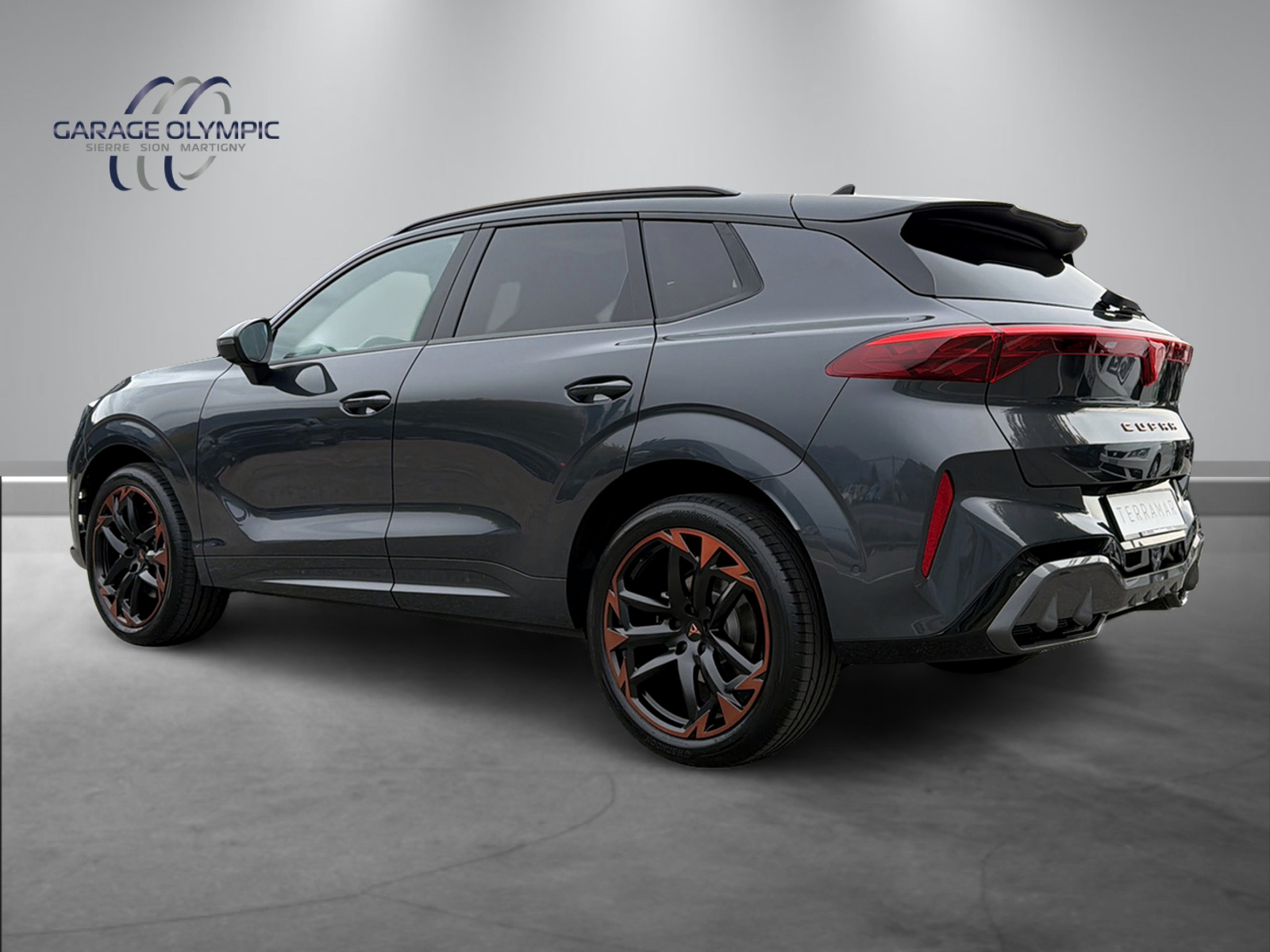CUPRA Terramar 2.0 TSI Prime Edition DSG 4Drive-image-3