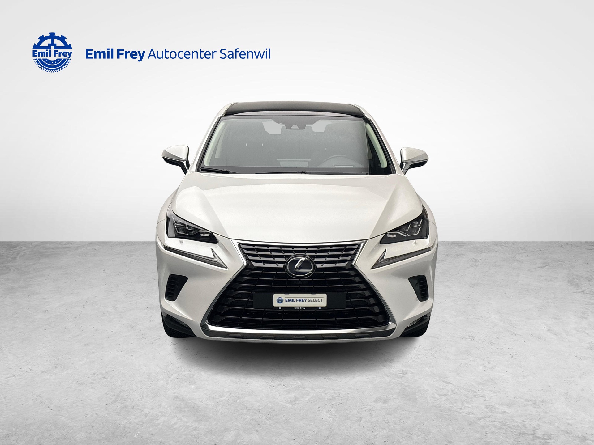 LEXUS NX 300h Excellence-image-7