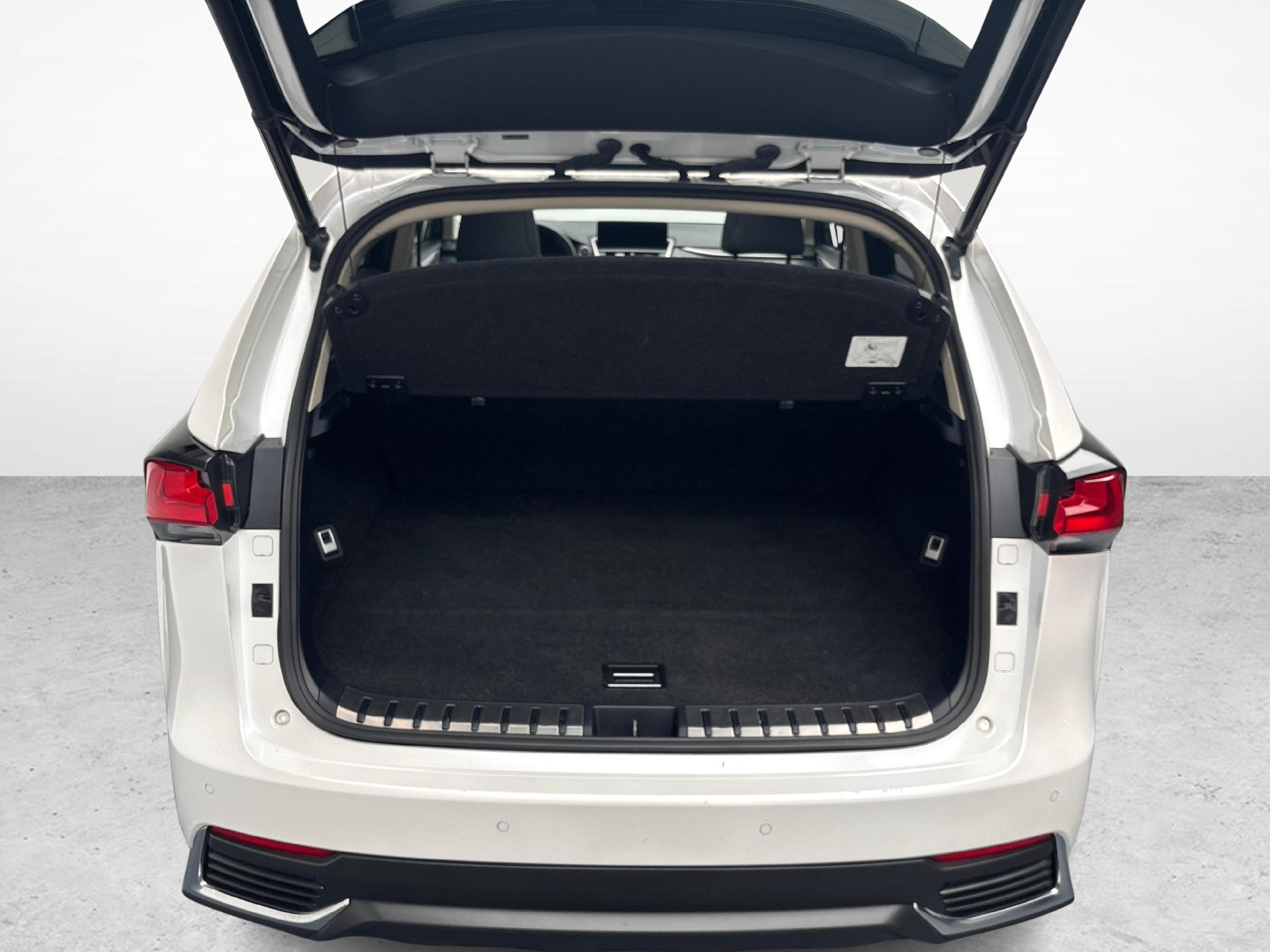LEXUS NX 300h Excellence-image-11