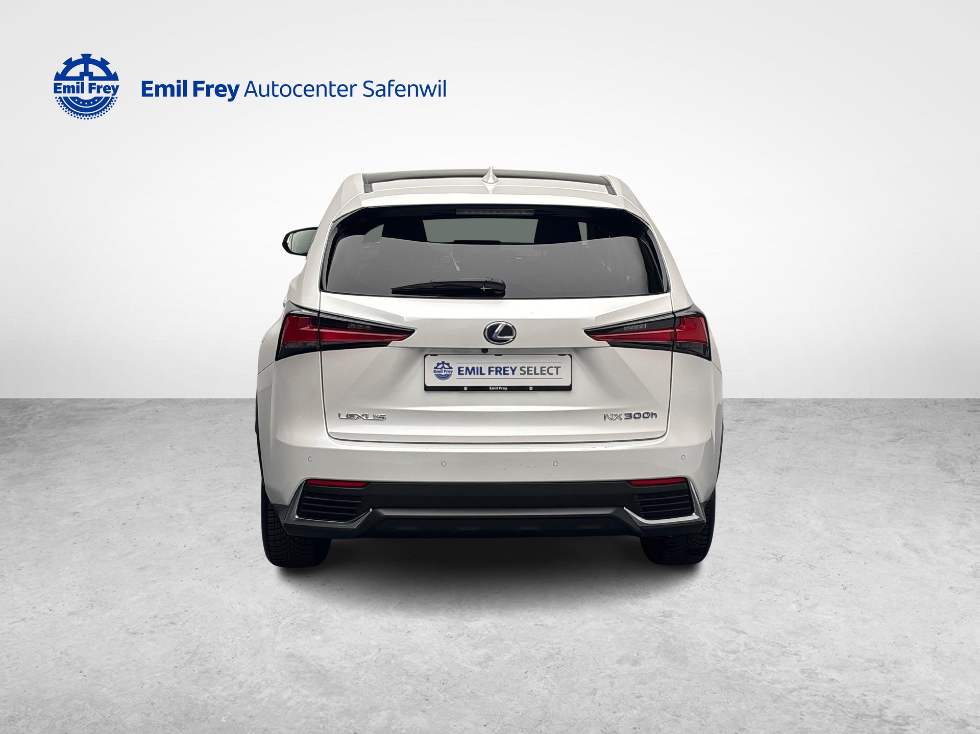 LEXUS NX 300h Excellence-image-3