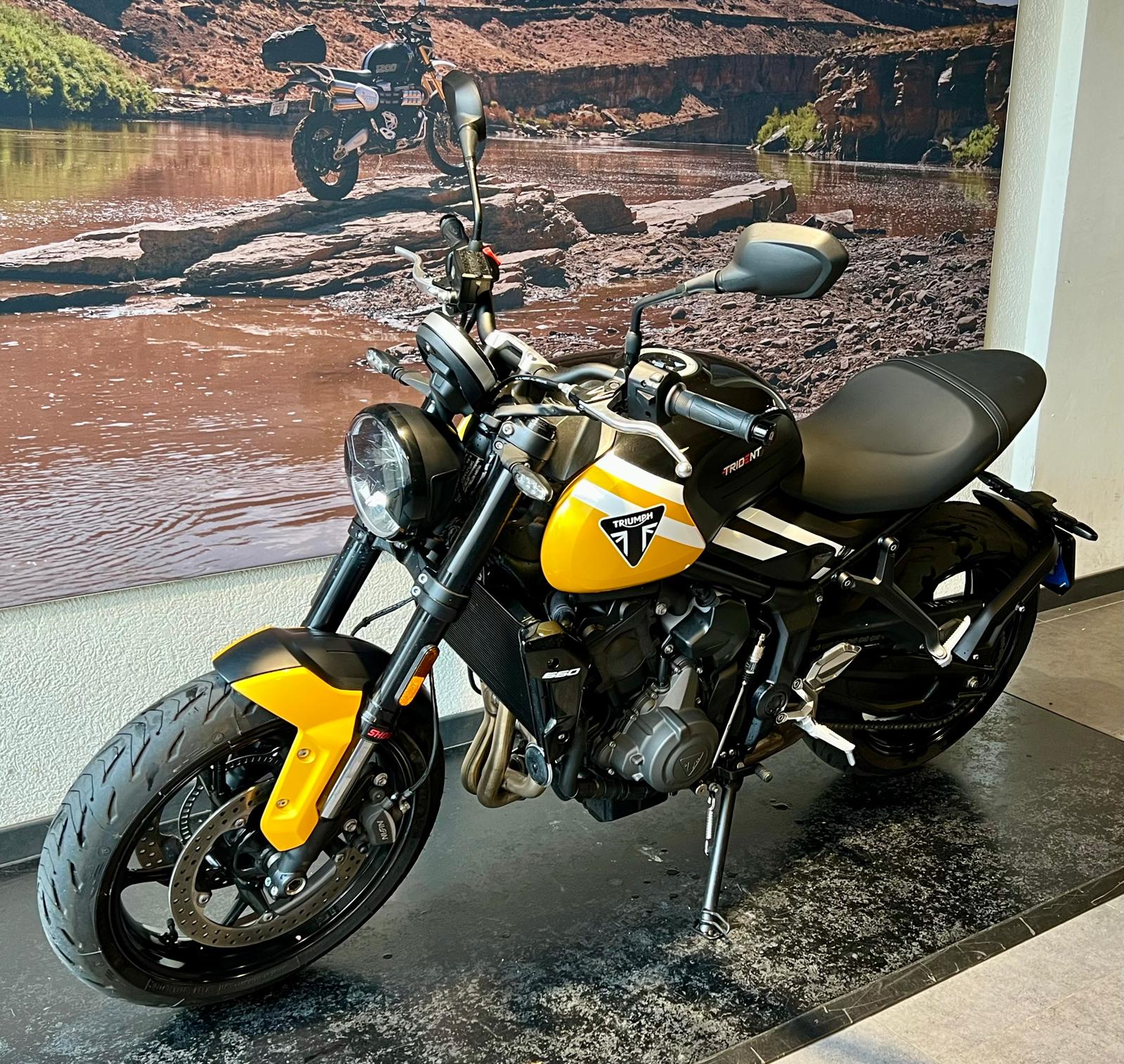 TRIUMPH Trident 660-showroom-element-2