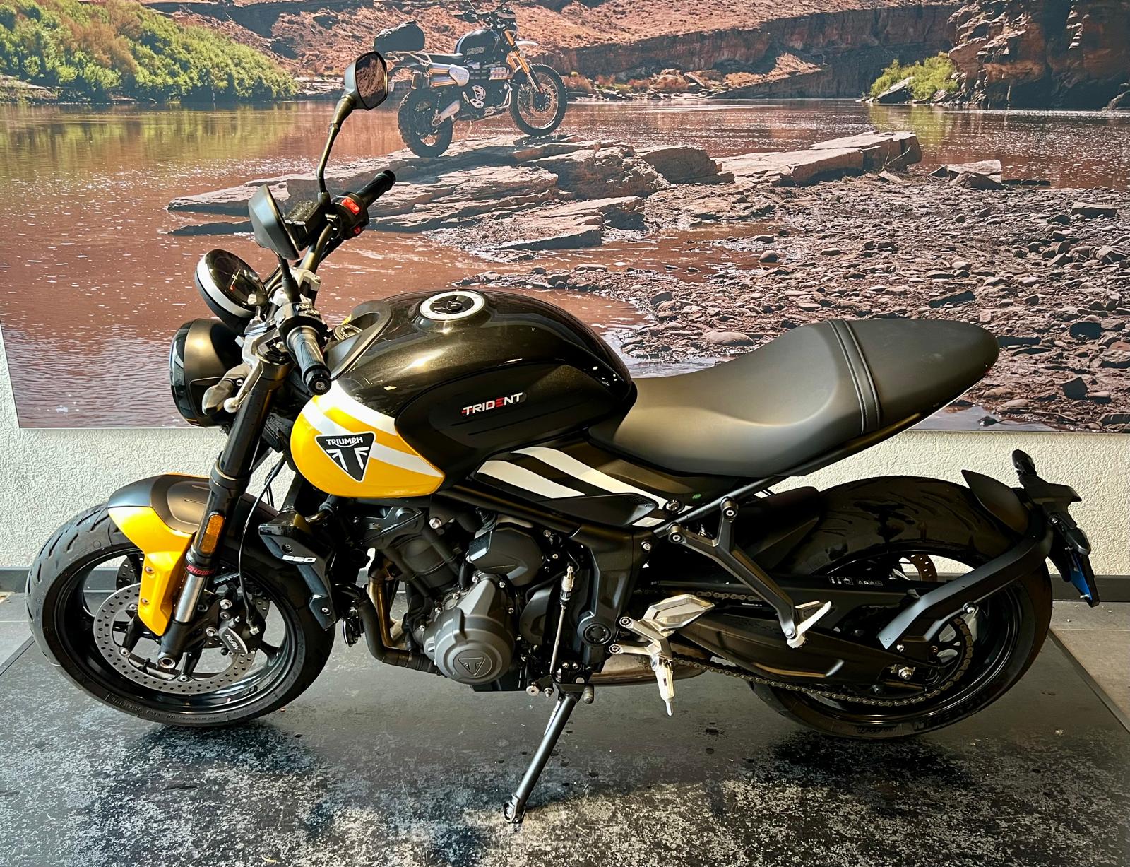 TRIUMPH Trident 660-showroom-element-3