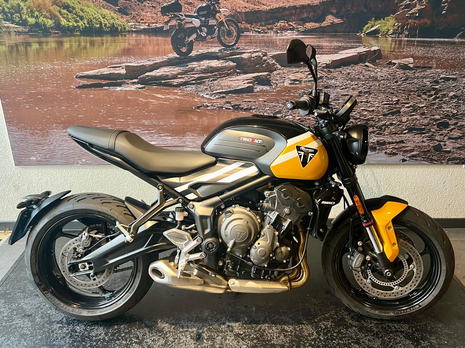 TRIUMPH Trident 660