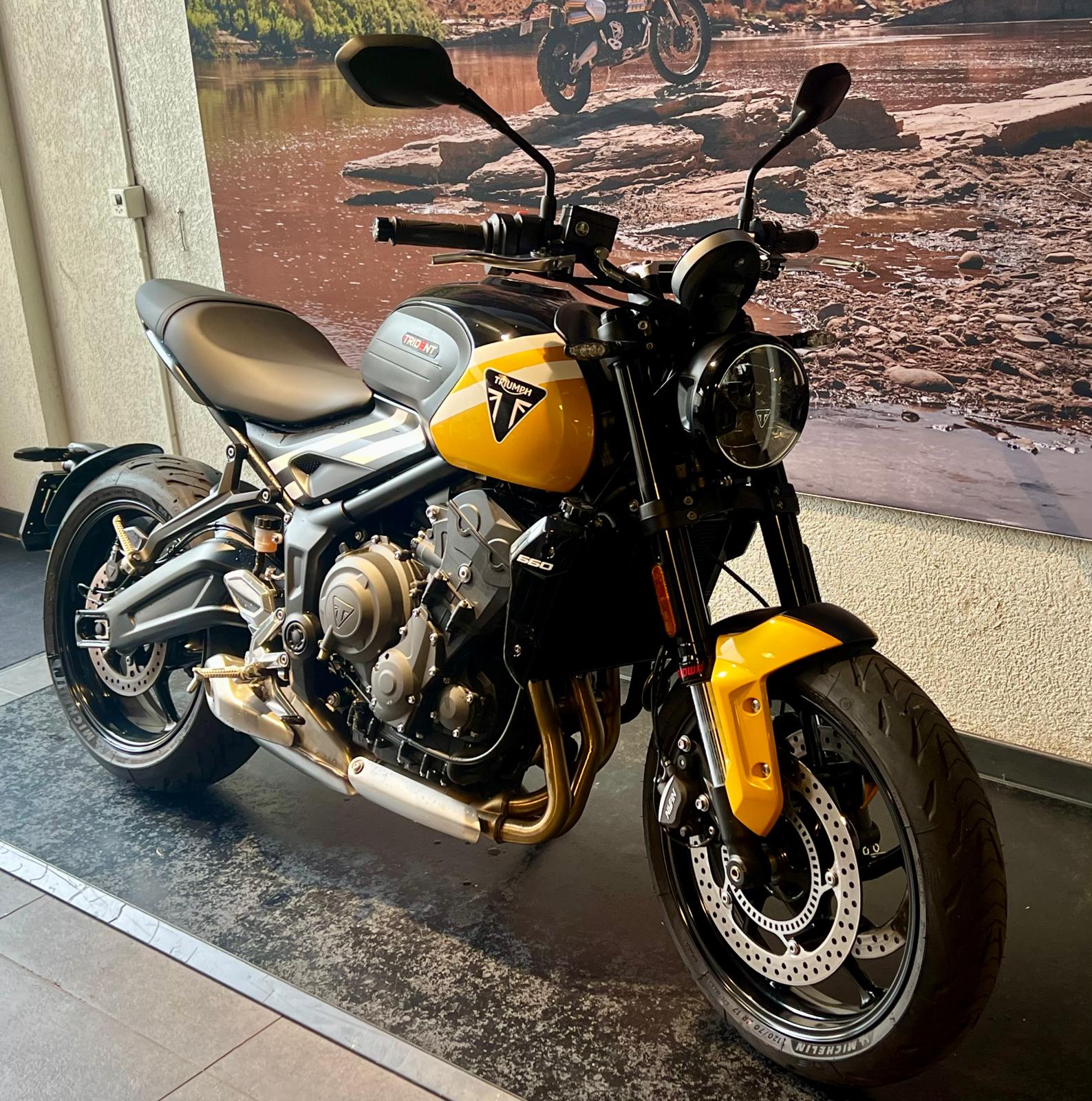 TRIUMPH Trident 660-showroom-element-1