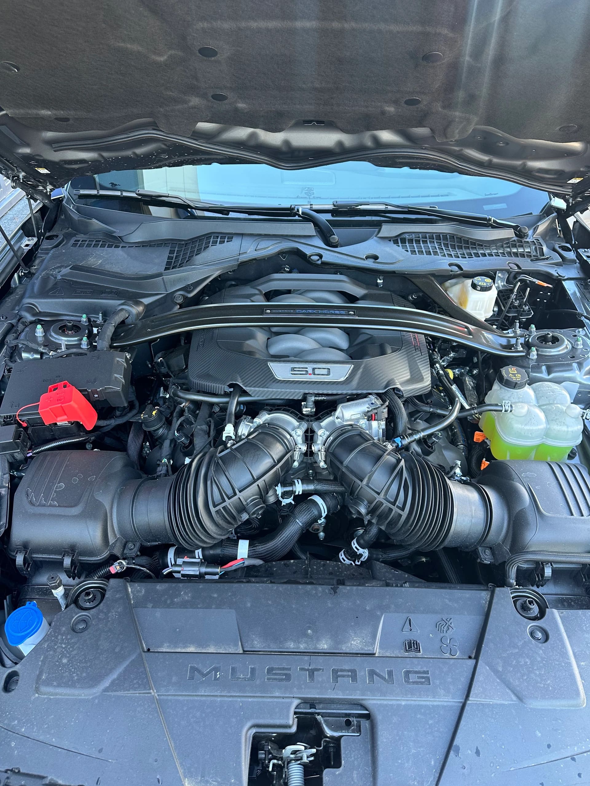 FORD Mustang Coupé 5.0 V8 Dark Hors-image-14