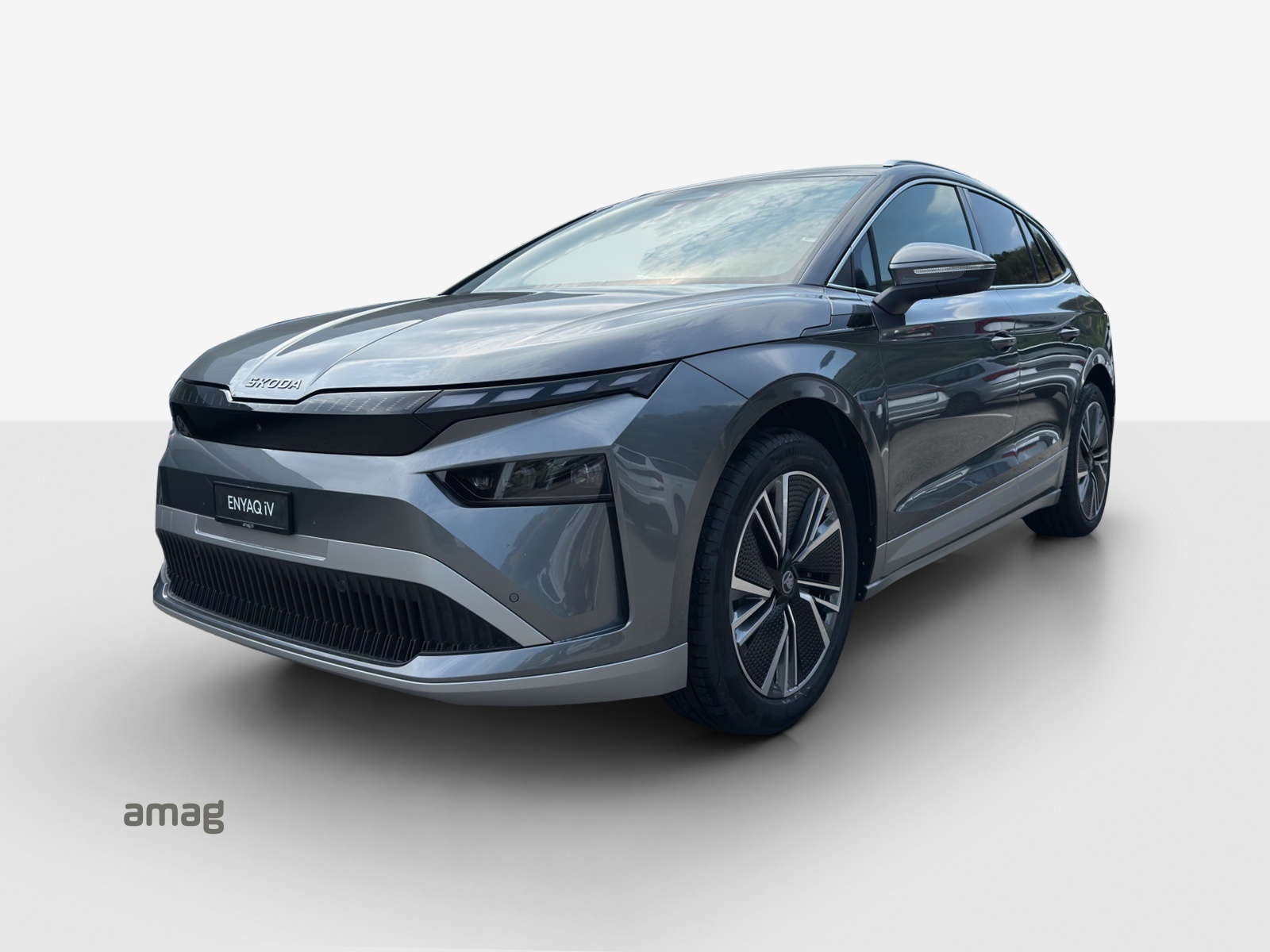 SKODA Enyaq 85x Selection 4x4-image-0