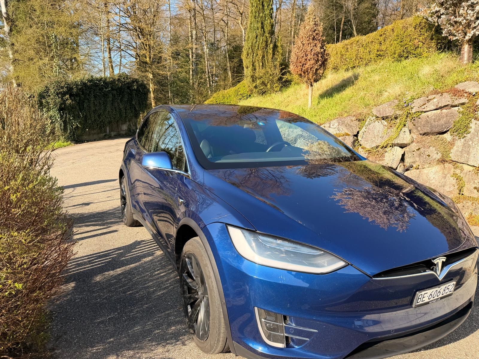 TESLA 100 D Free Supercharge-image-2