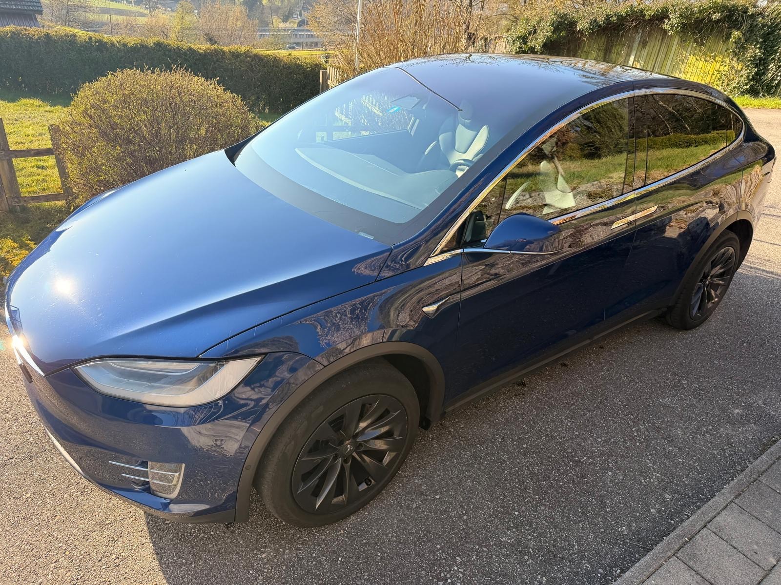 TESLA 100 D Free Supercharge-image-1