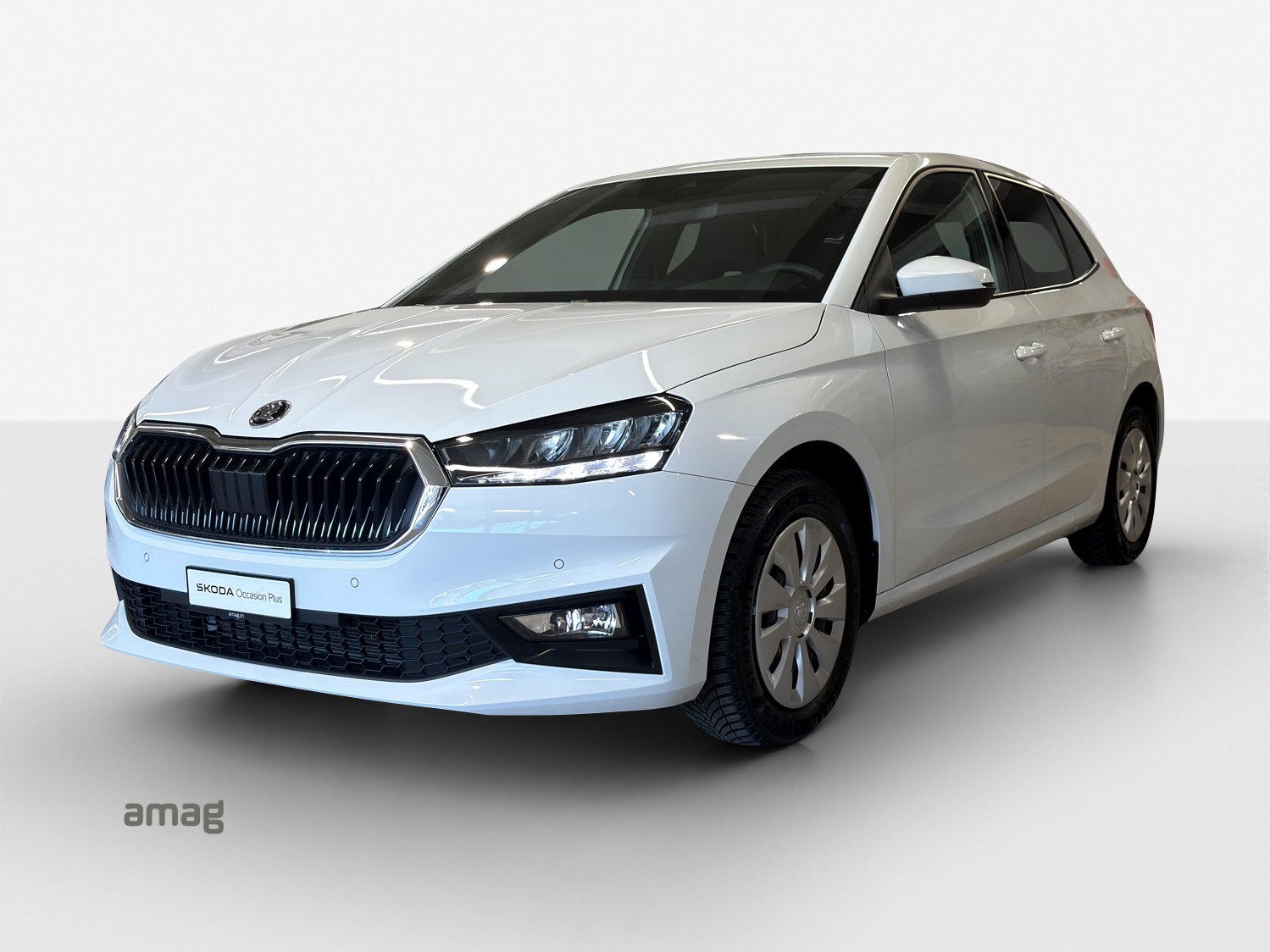 SKODA Fabia 1.0 TSI Selection DSG-image-0