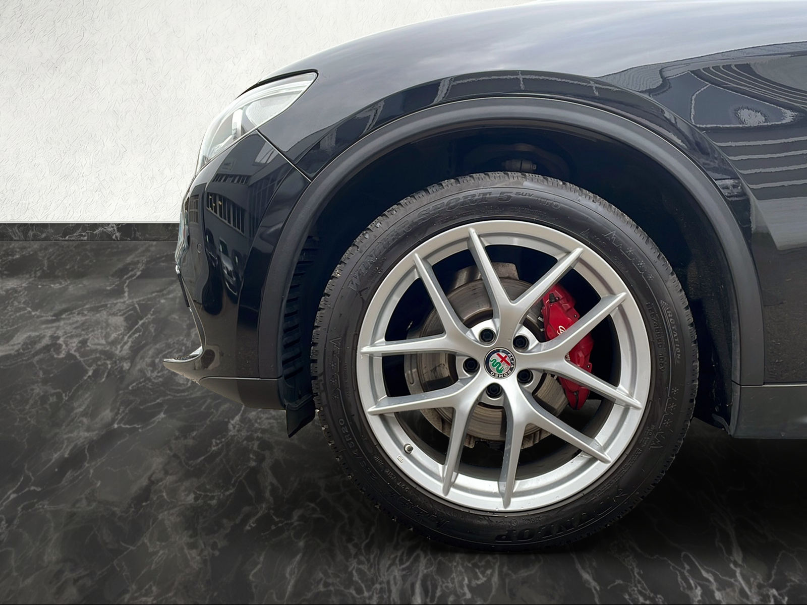 ALFA ROMEO Stelvio 2.0 First Edition Q4 Automatic-image-8