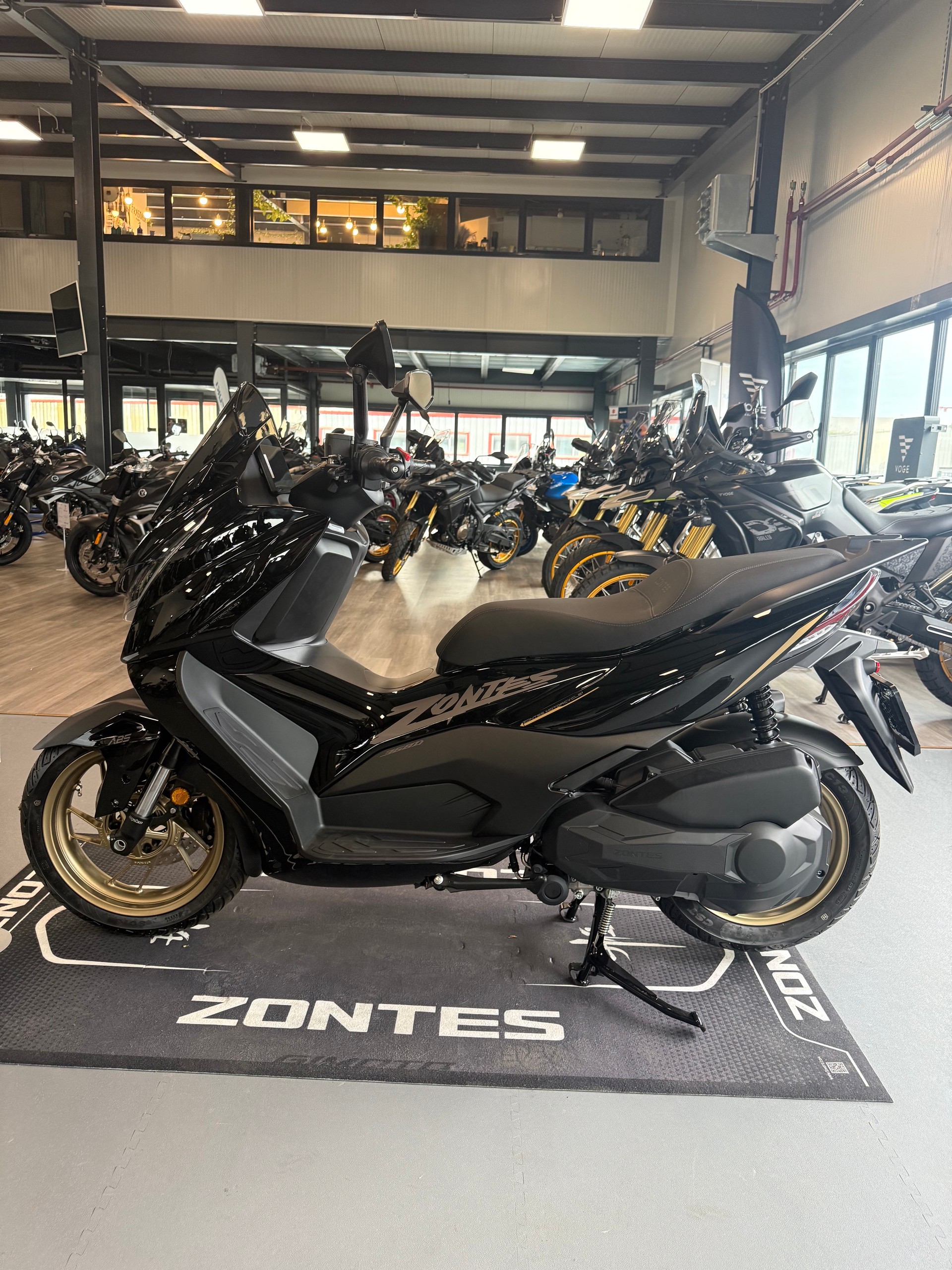 ZONTES 368 E ETC-showroom-element-1