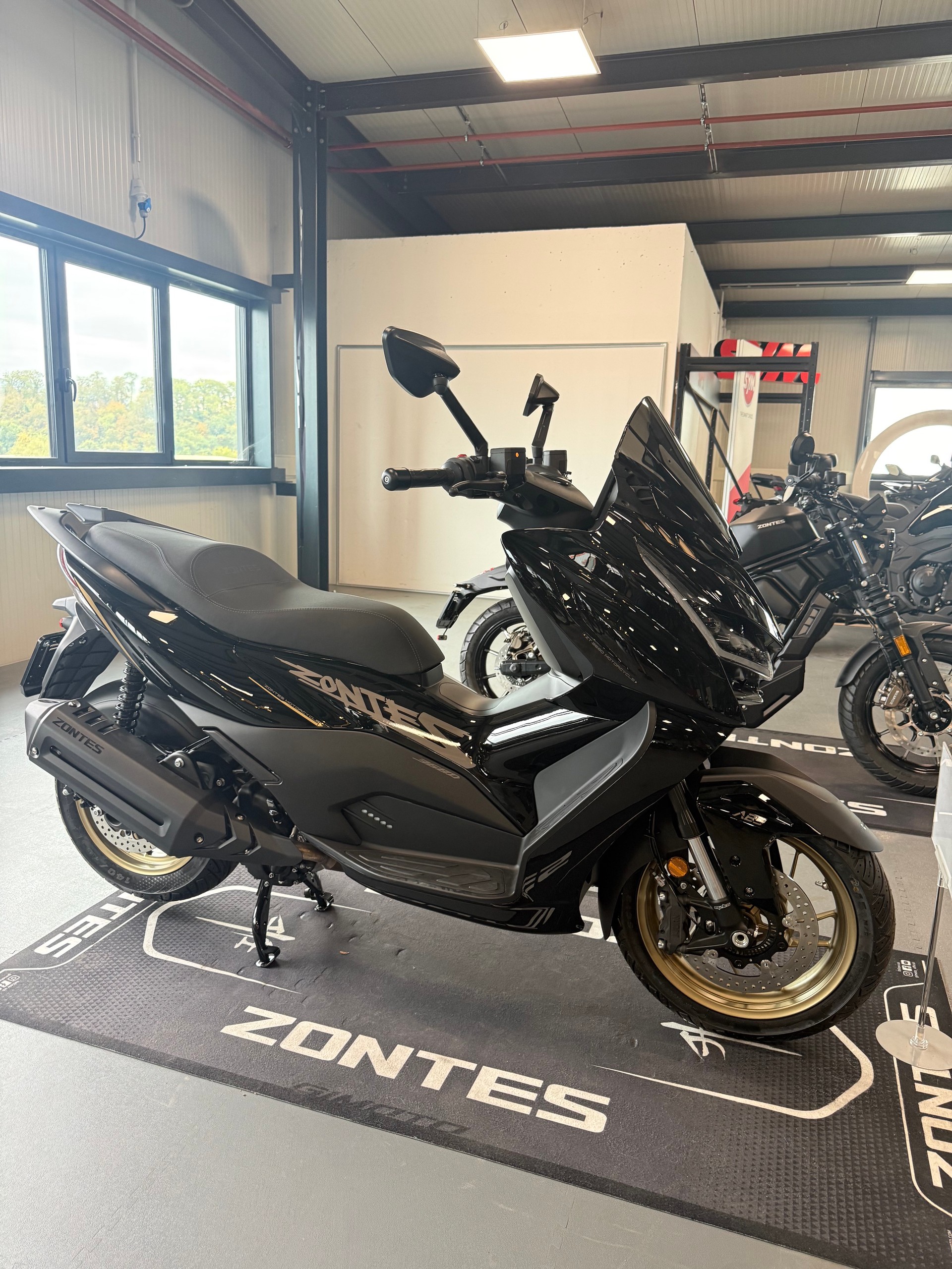 ZONTES 368 E ETC