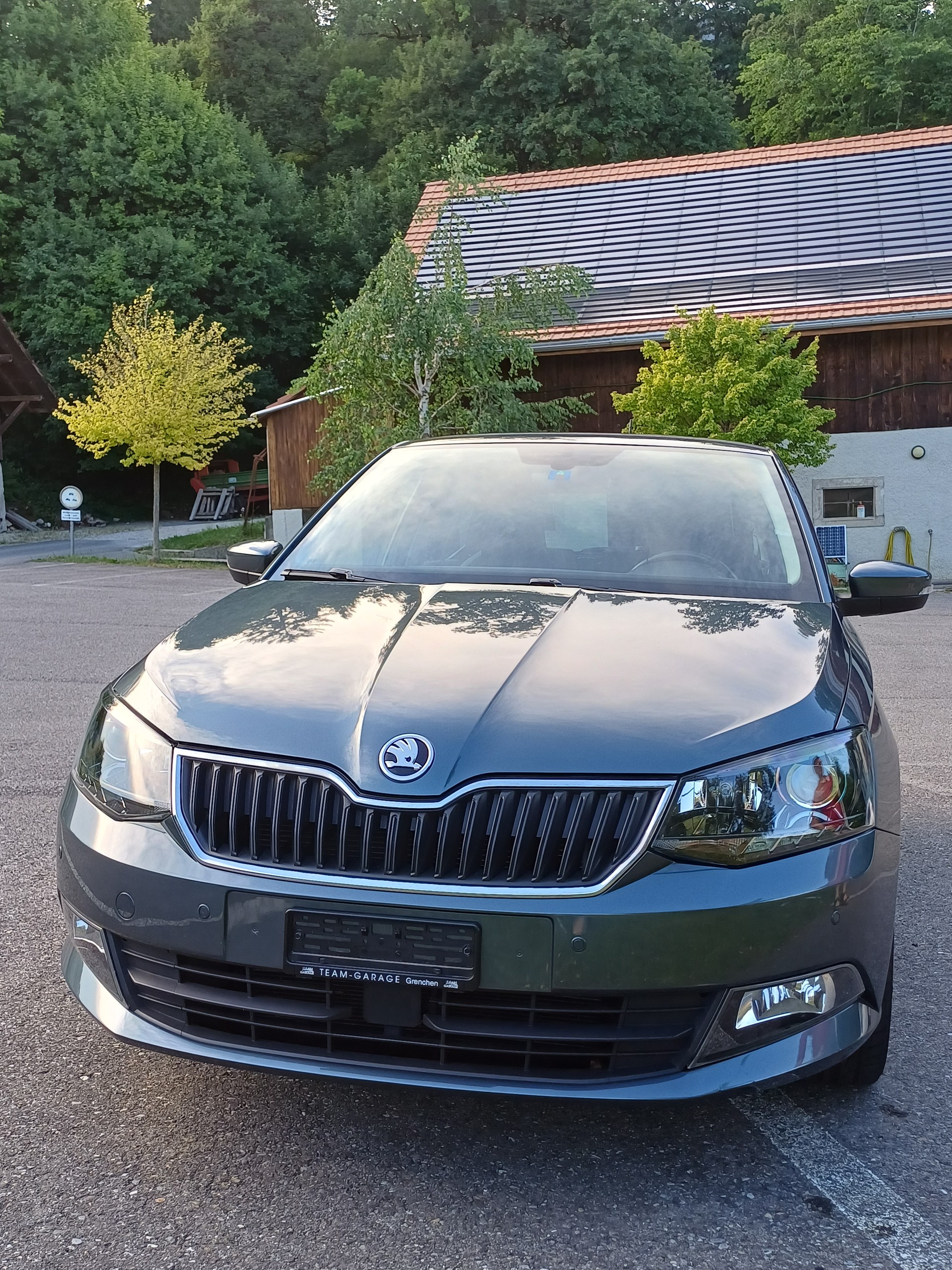 SKODA 1.0 TSI Monte Carlo DSG-image-0