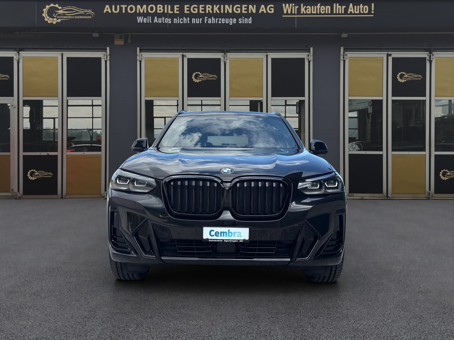 BMW X3 xDrive 48V 30d M Sport-showroom-element-1