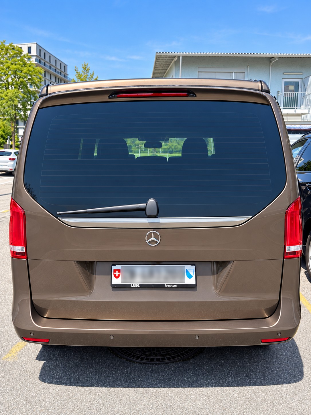 MERCEDES-BENZ 250 d Horizon 4matic-image-4