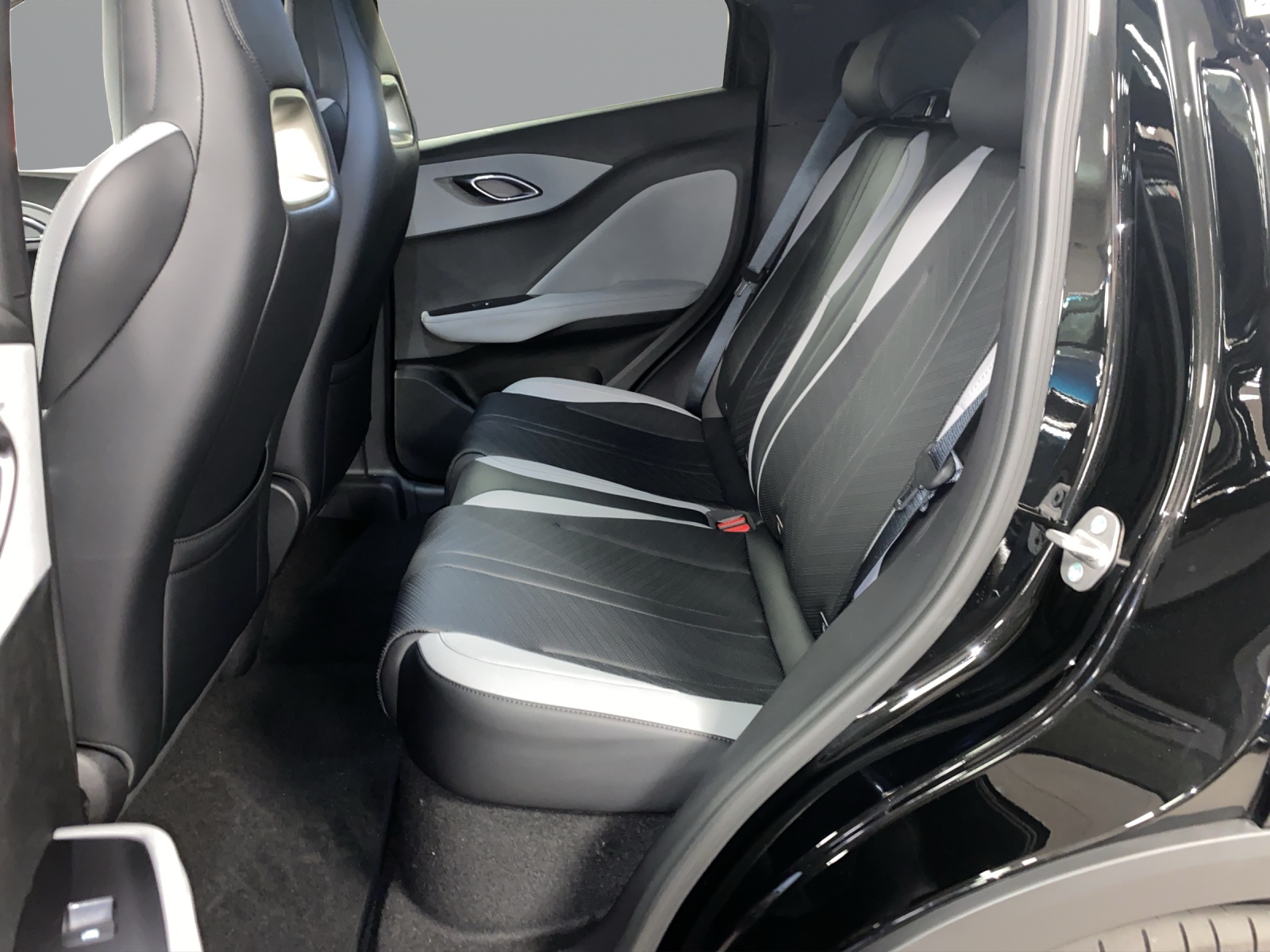 BYD Dolphin Surf Comfort-image-13