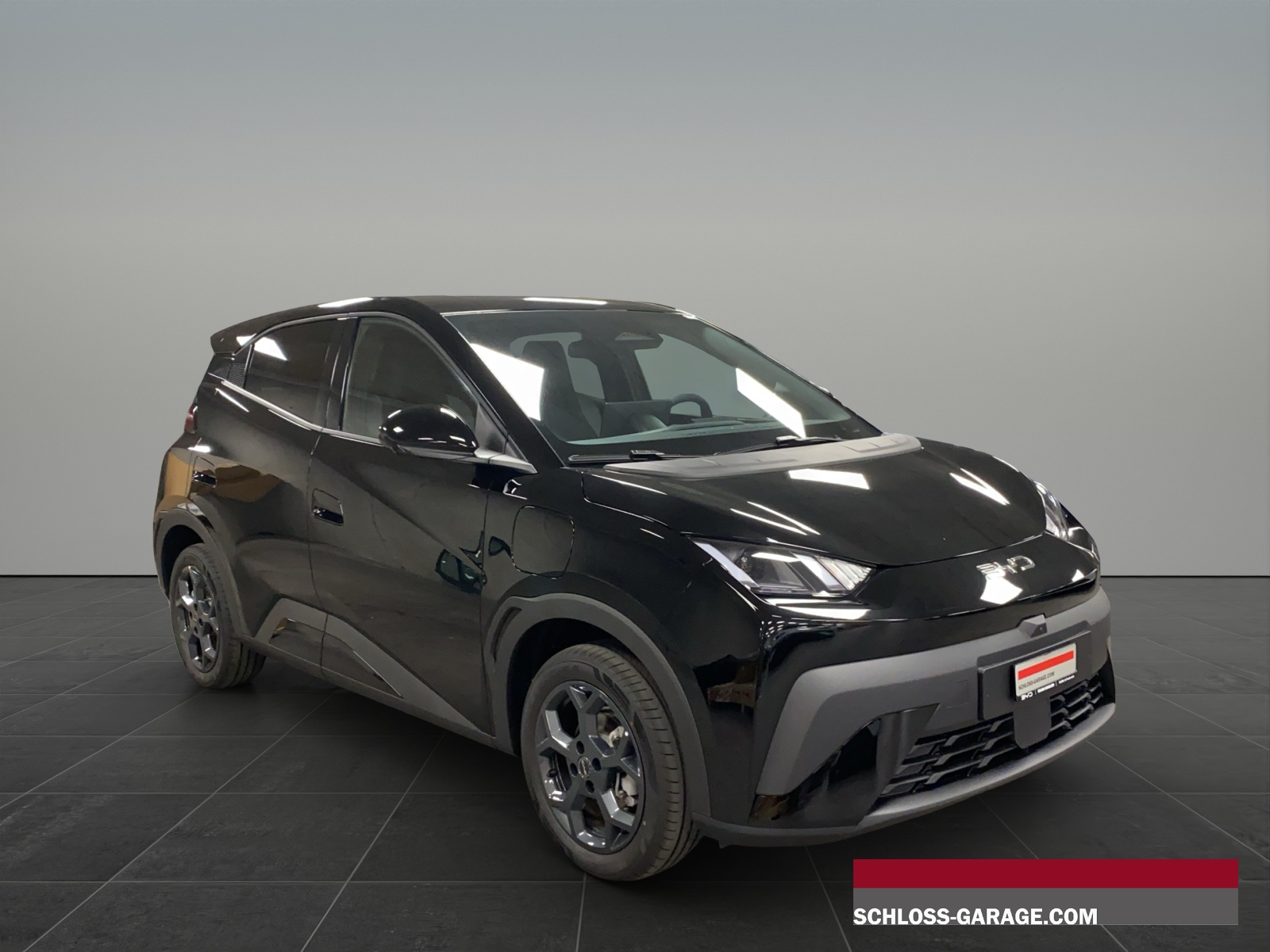 BYD Dolphin Surf Comfort-image-8