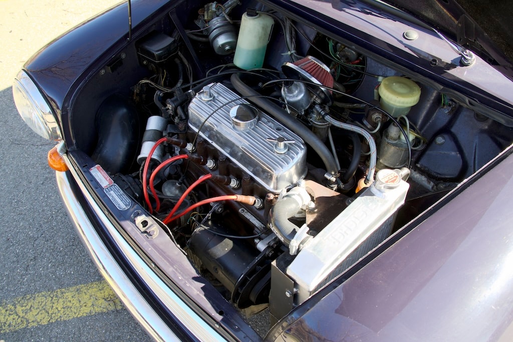 MINI 1000-image-4