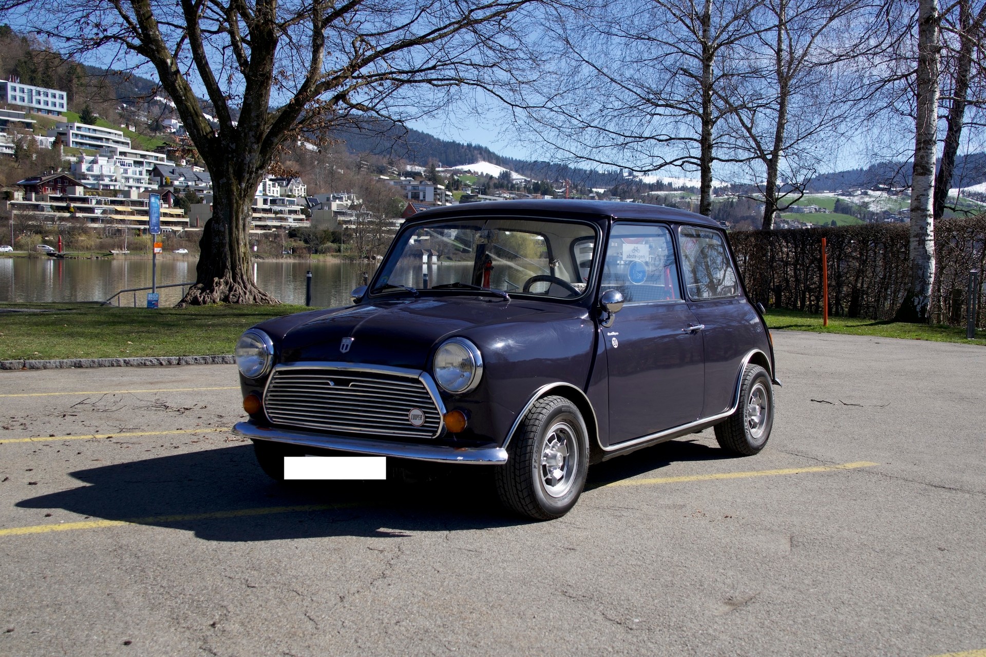 MINI 1000-image-0