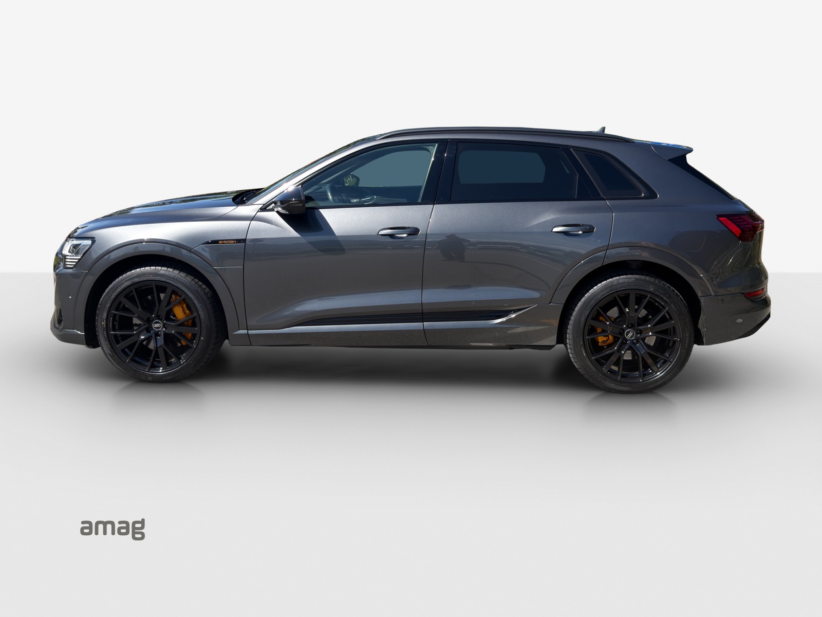 AUDI e-tron 55 S Line quattro-showroom-element-1