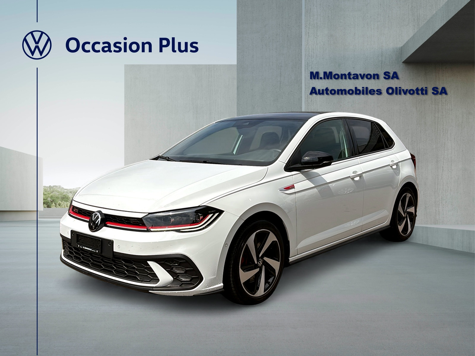 VW Polo 2.0 TSI GTI DSG